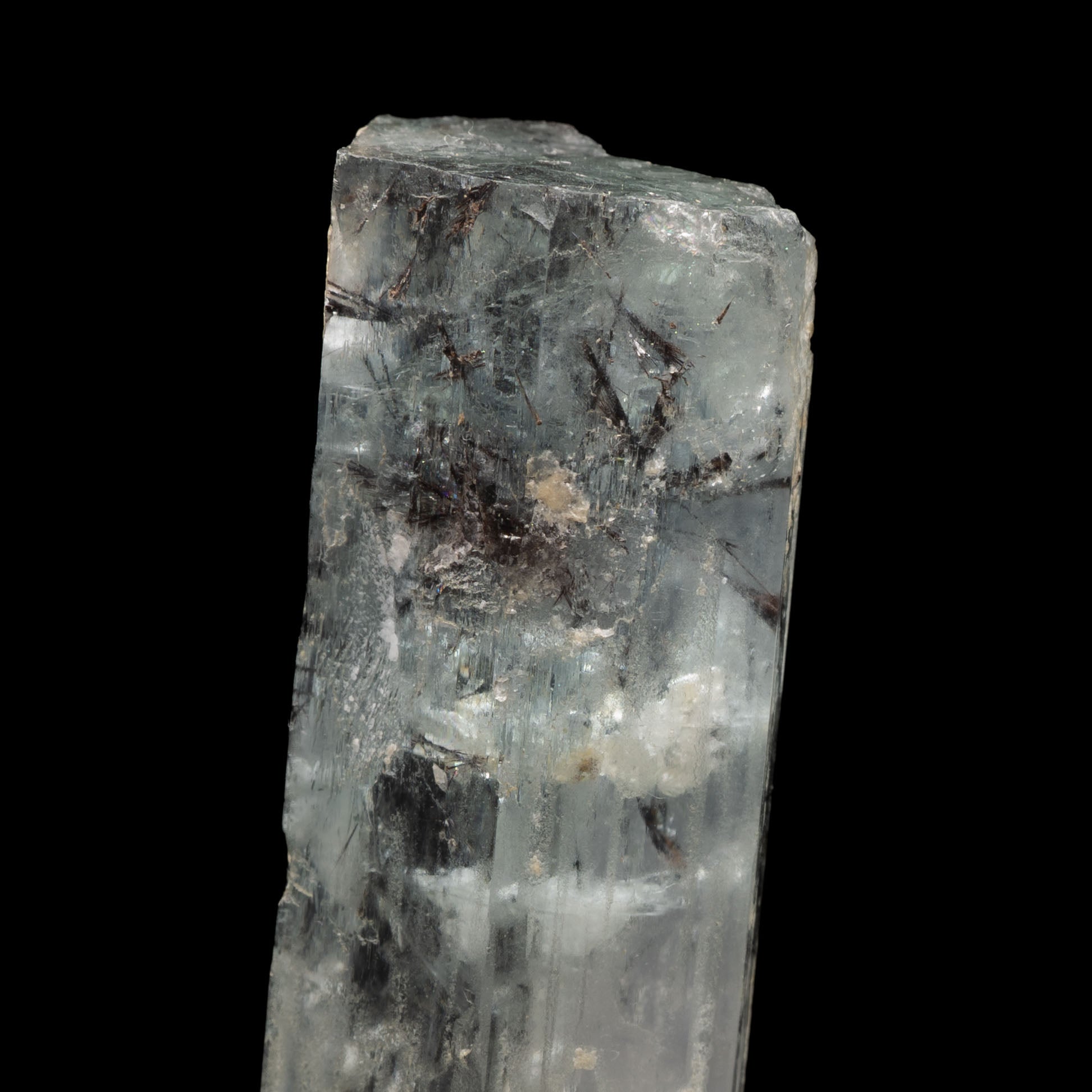 Aquamarine Crystal with Schorl Tourmaline Inclusions 96.4CT