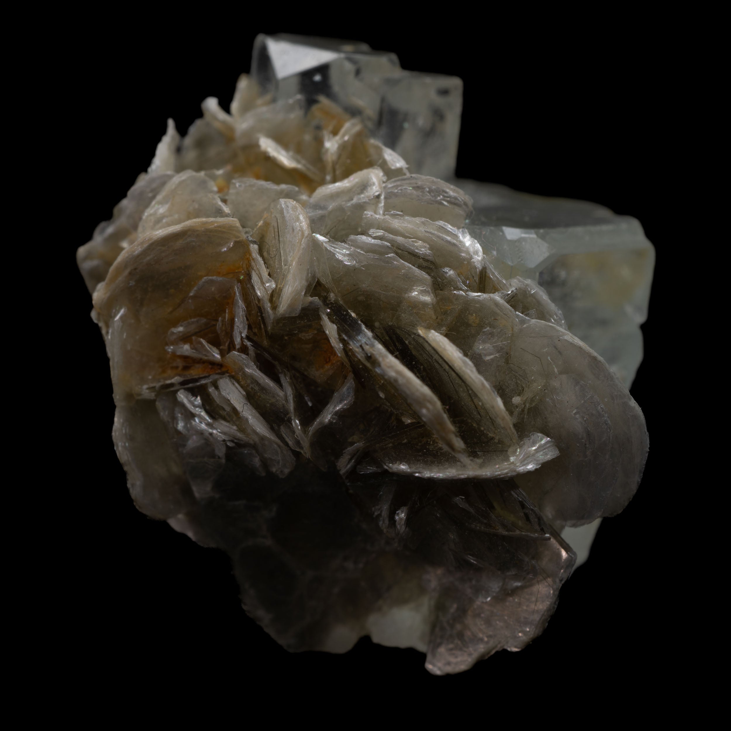Aquamarine & Muscovite Cluster – 53.6CT, 22x21x15MM
