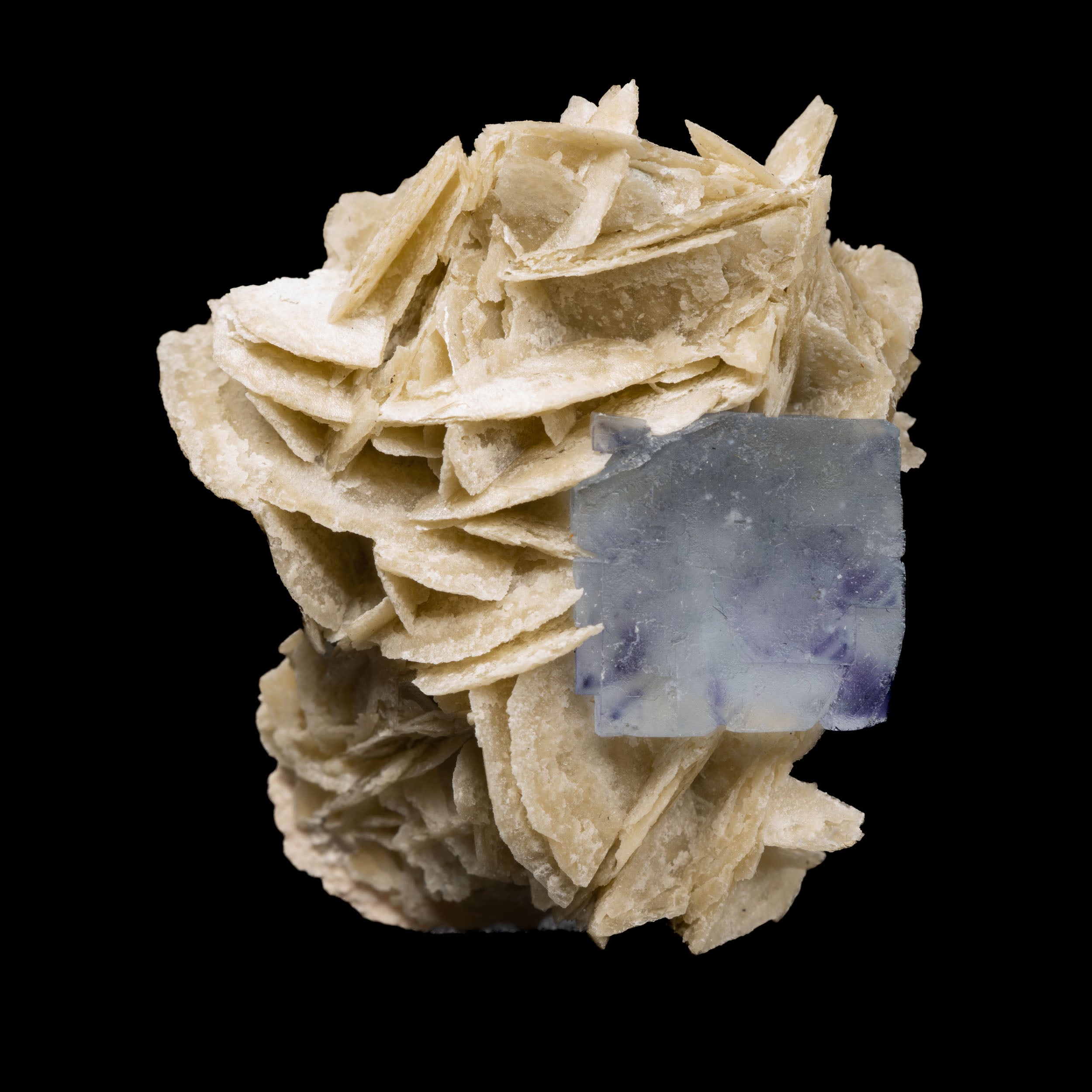 Blue-Lavender Fluorite on Barite “Desert Rose” with 7g