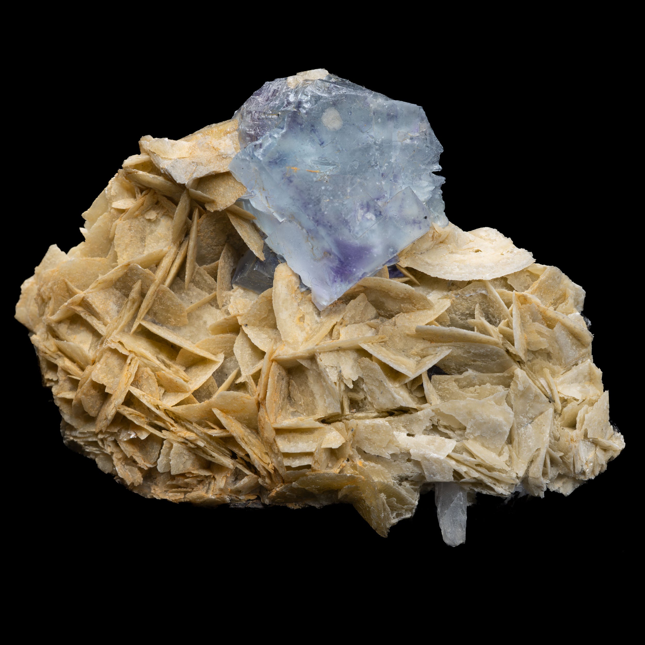 Blue-Lavender Fluorite on Barite “Desert Rose” with Galena Skirt 64g