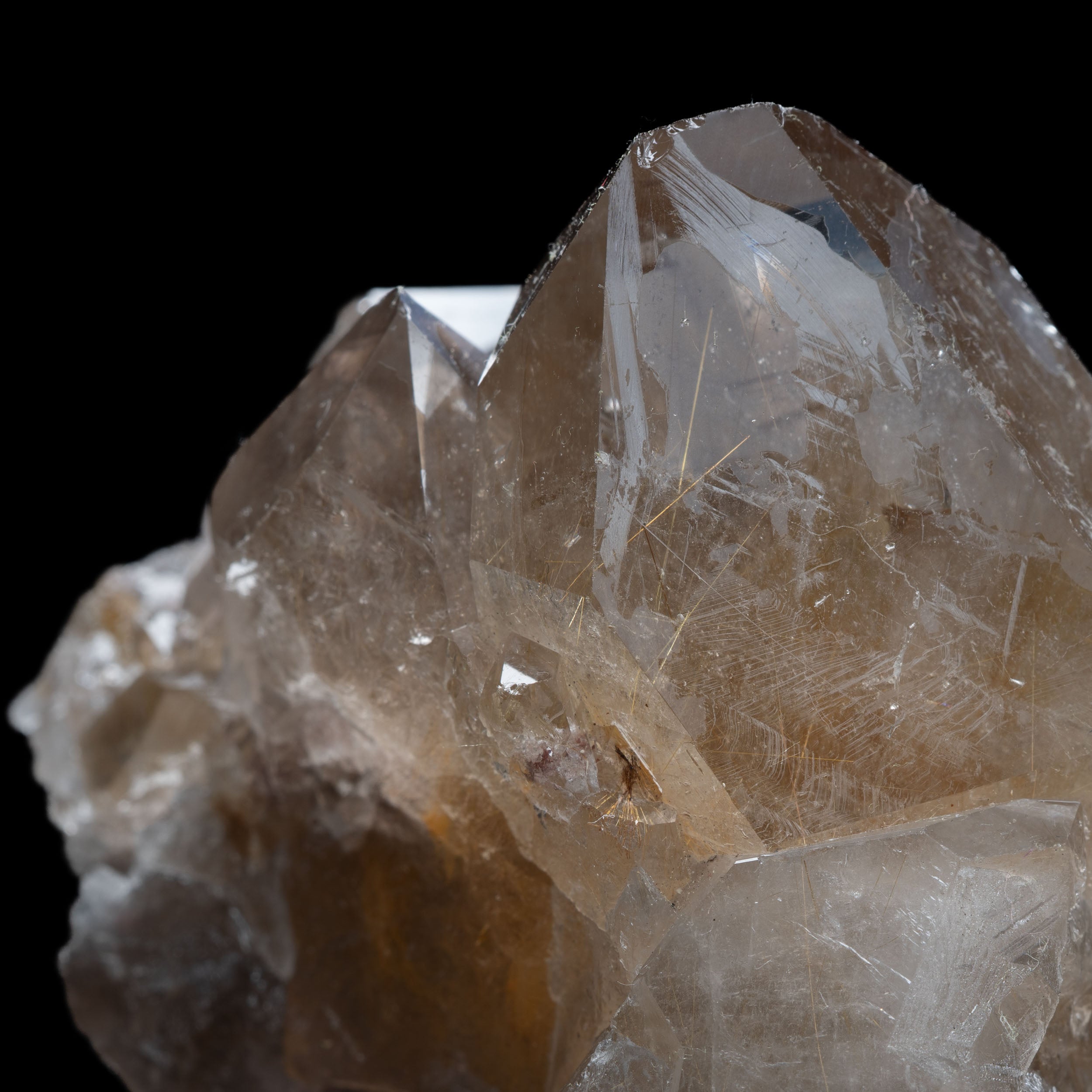 Golden Rutile “Solar Flare” Quartz, 151g Novo Horizonte, Bahia, Brazil