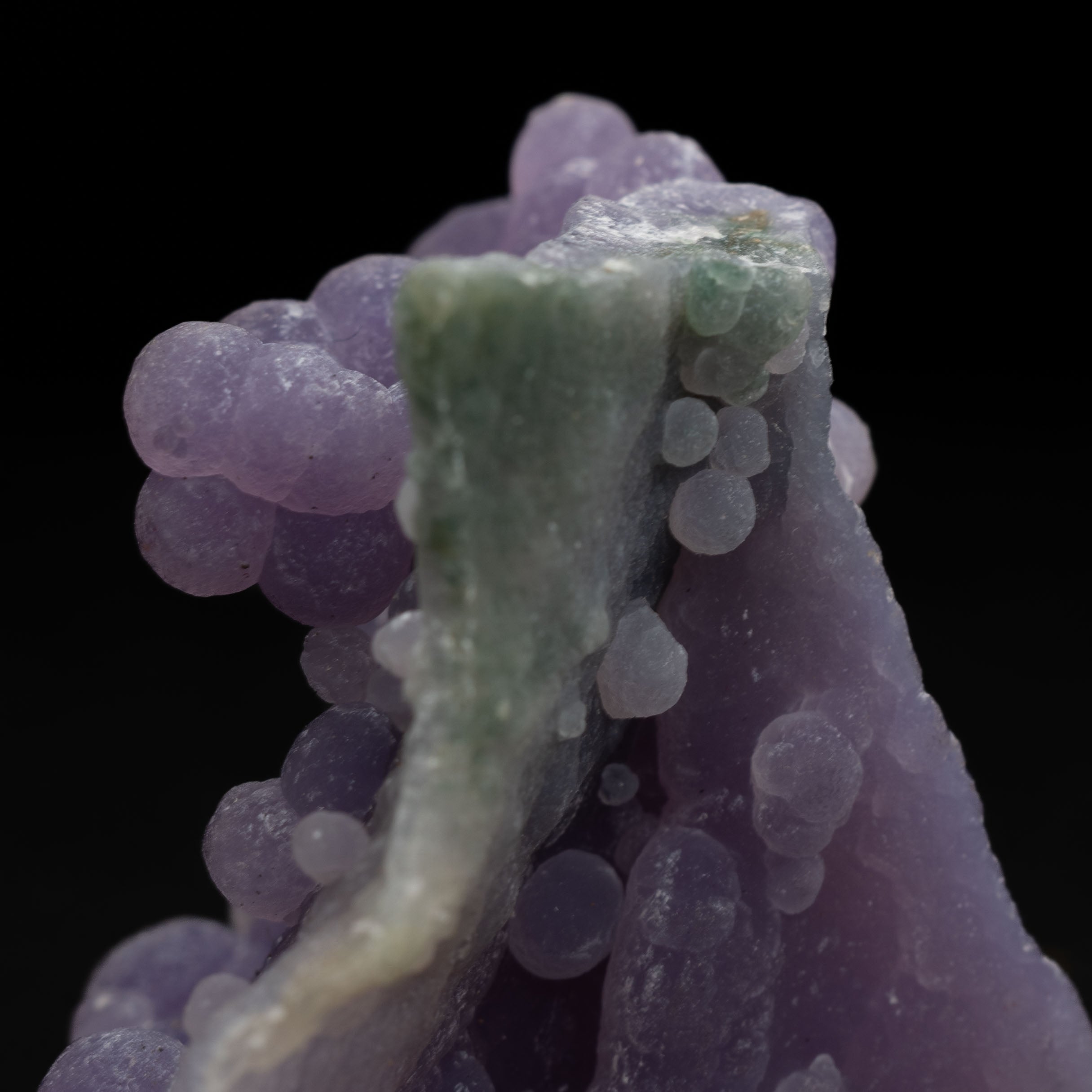 Grape Agate Botryoidal Chalcedony – Natural Purple Gem Specimen 51.4ct