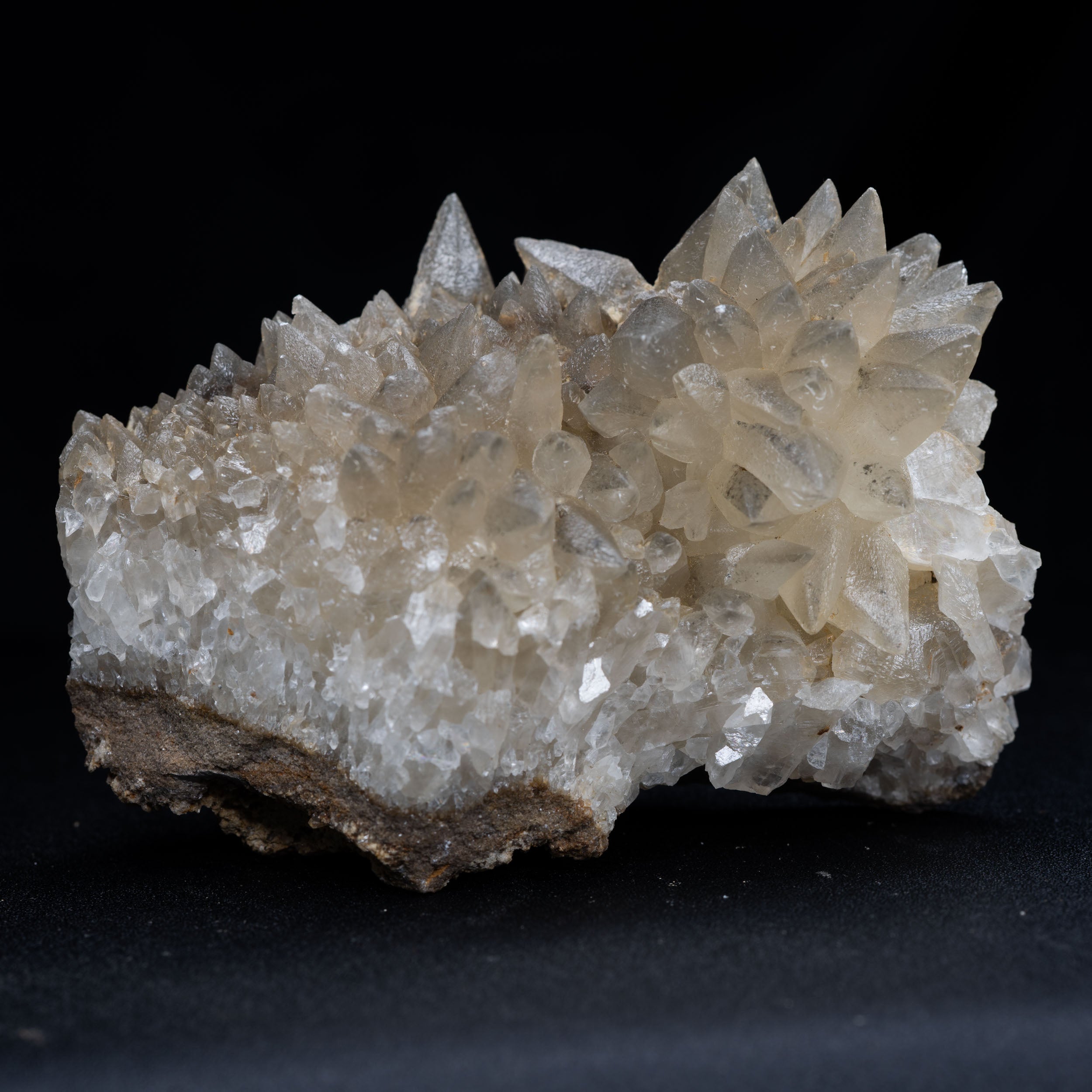 Dog-tooth Calcite Hedgehog Cluster – 8 cm Kentucky Limestone