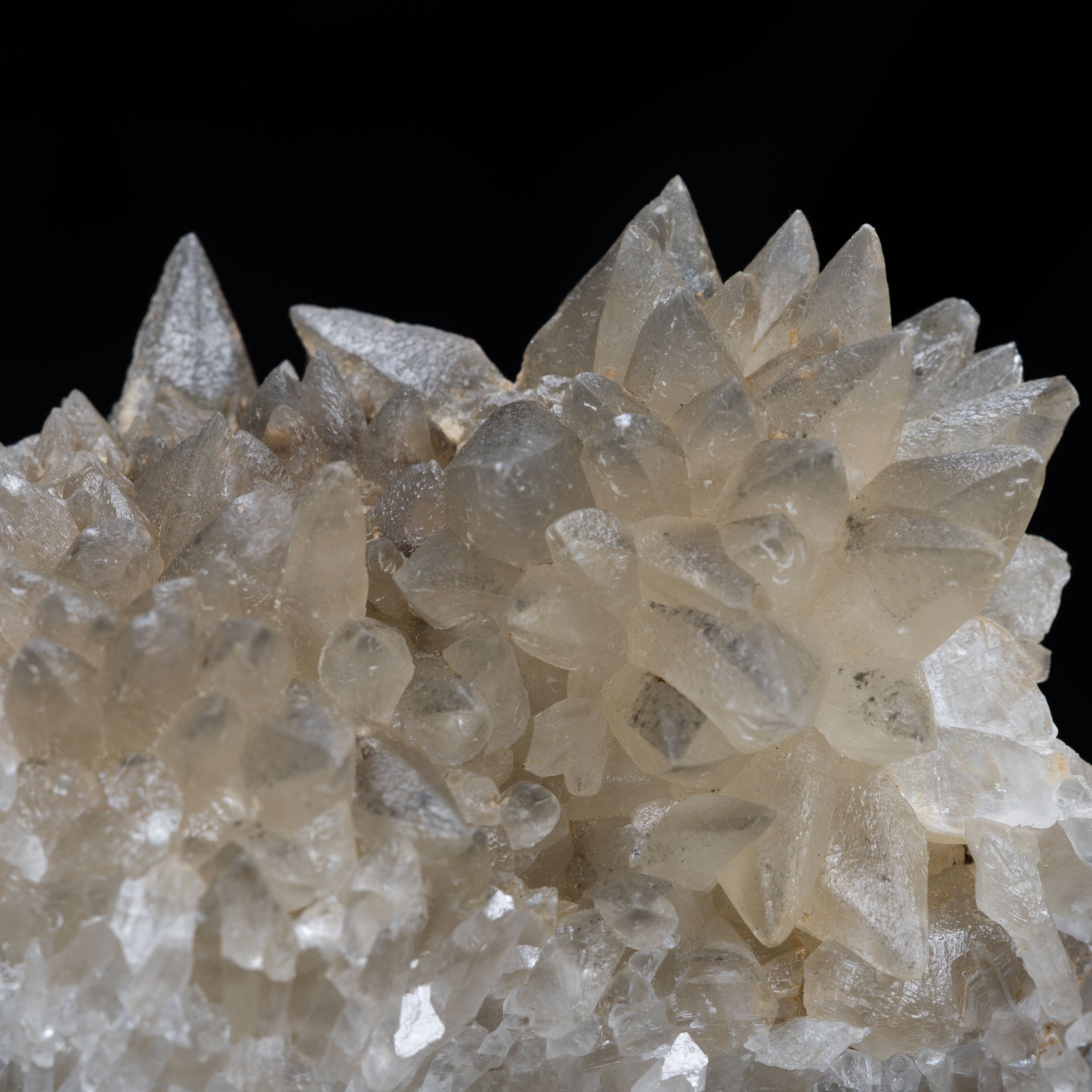 Dog-tooth Calcite Hedgehog Cluster – 8 cm Kentucky Limestone