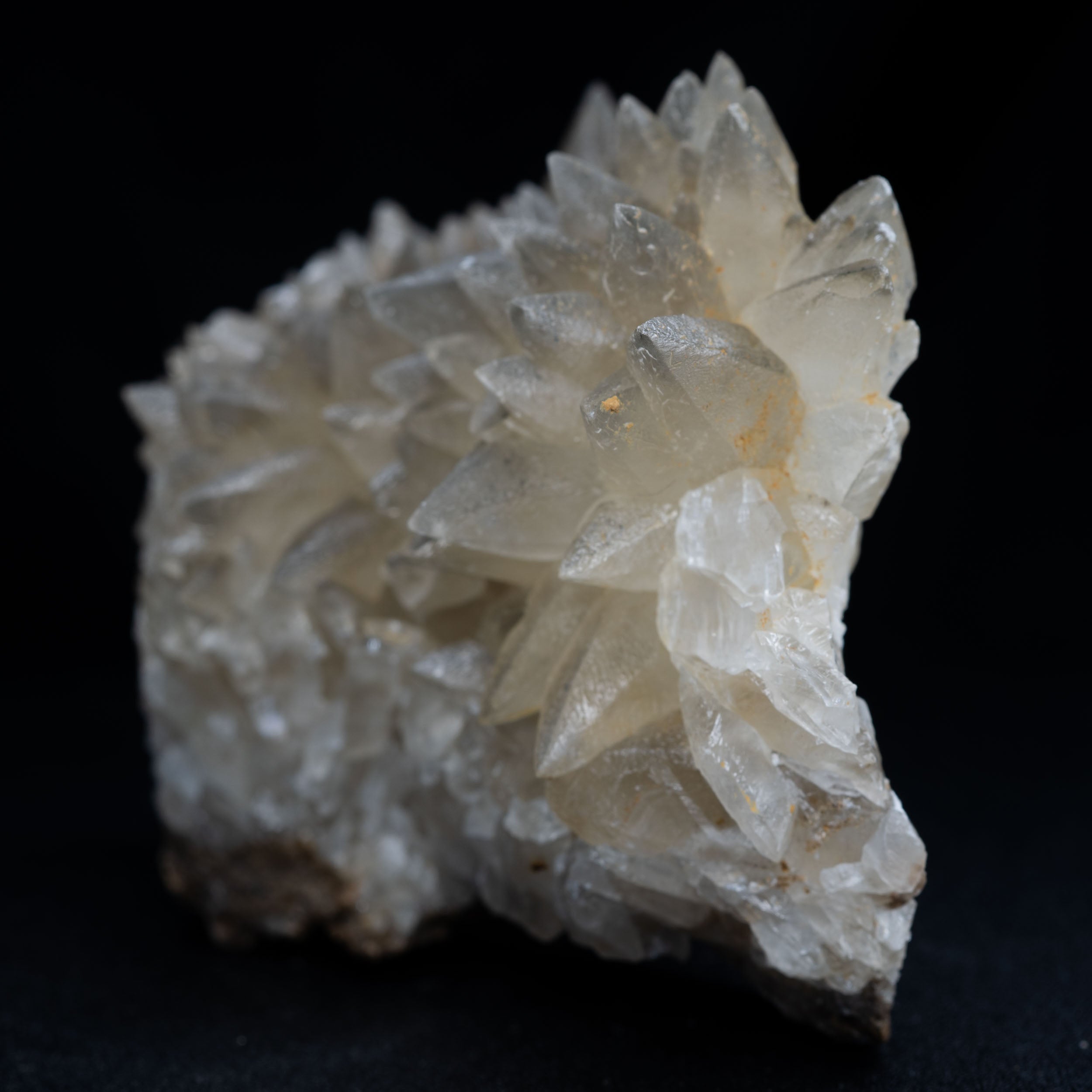 Dog-tooth Calcite Hedgehog Cluster – 8 cm Kentucky Limestone