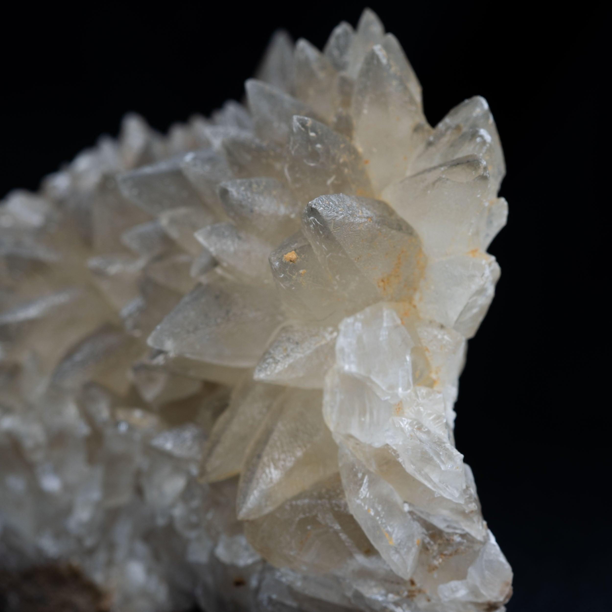 Dog-tooth Calcite Hedgehog Cluster – 8 cm Kentucky Limestone