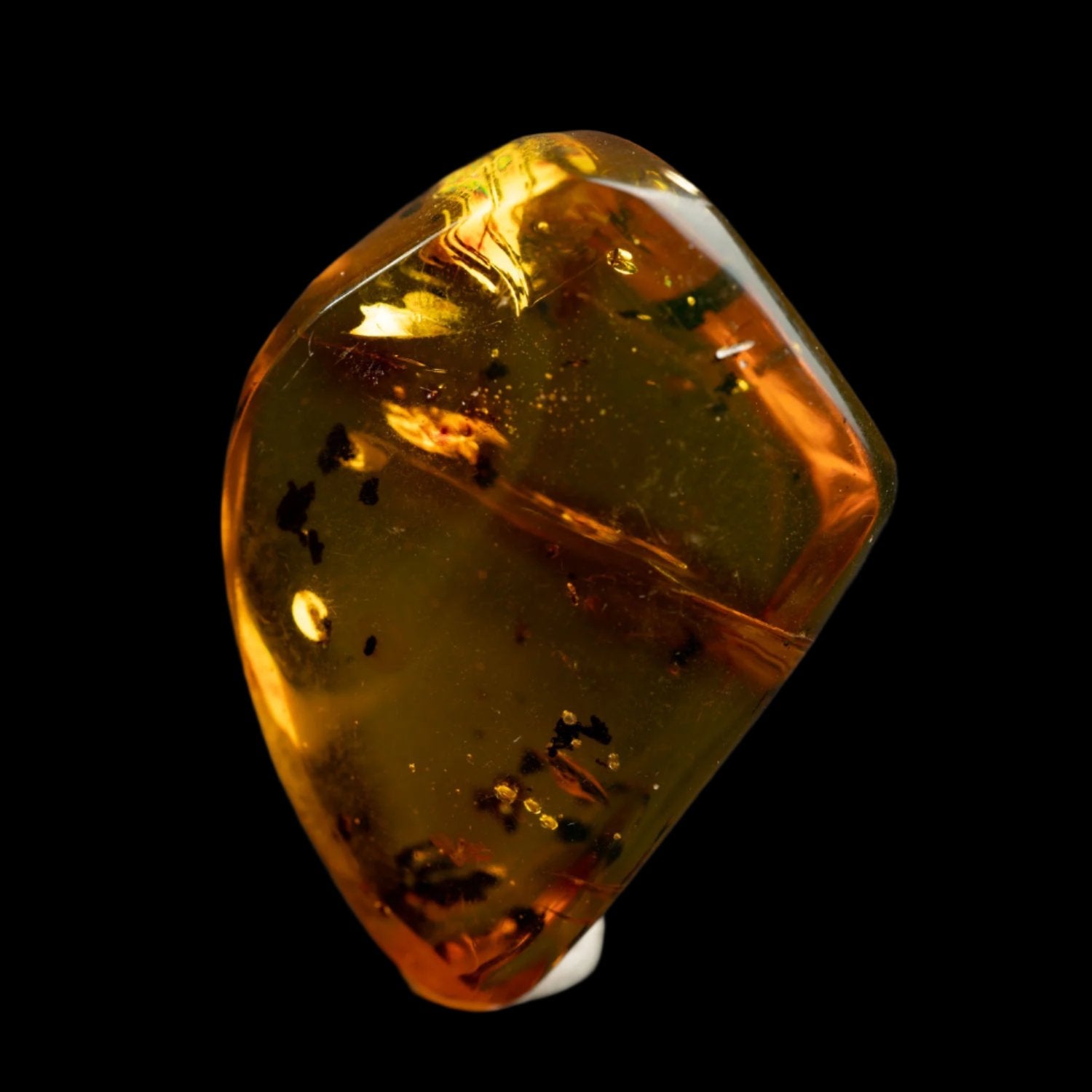 Ámbar - Fosilizado 43.5CT