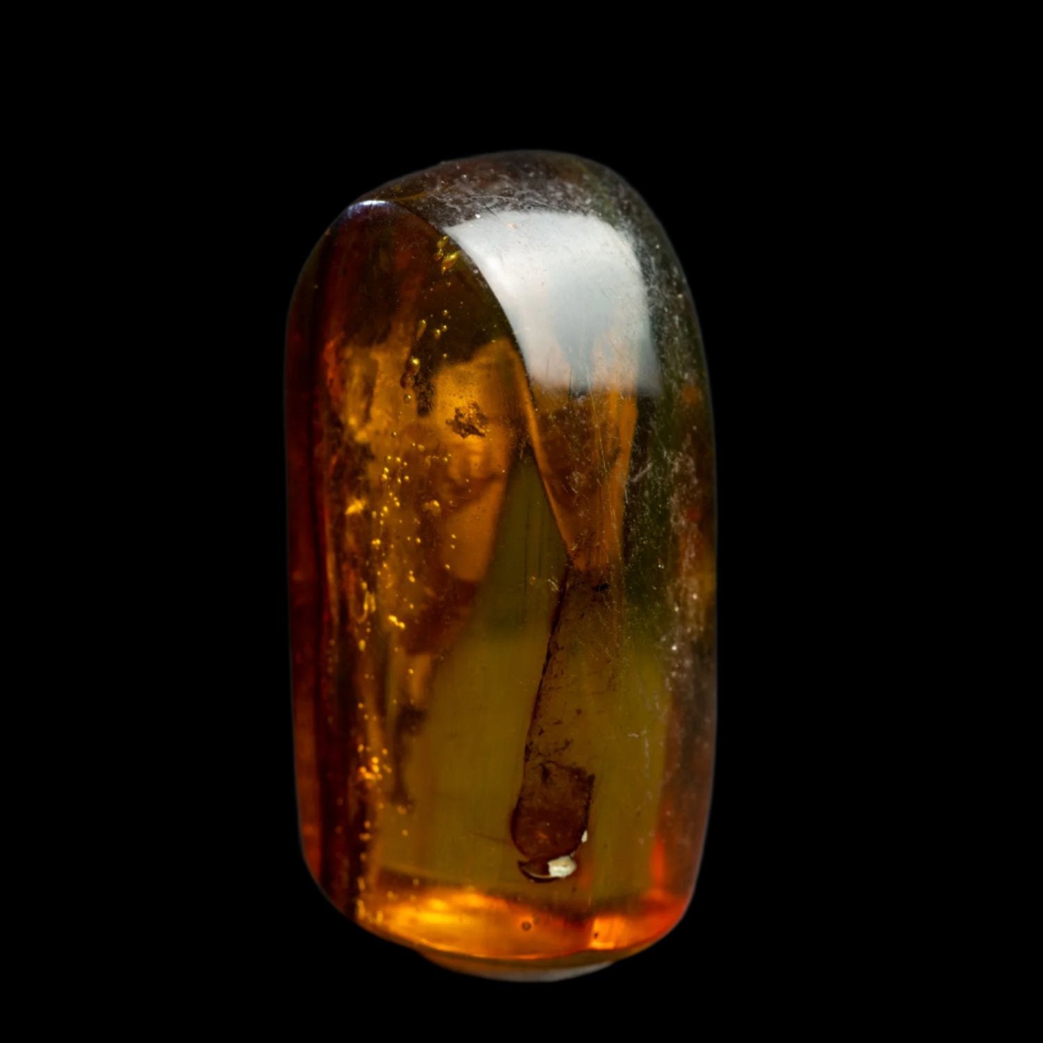 Ámbar - Fosilizado 46.5CT