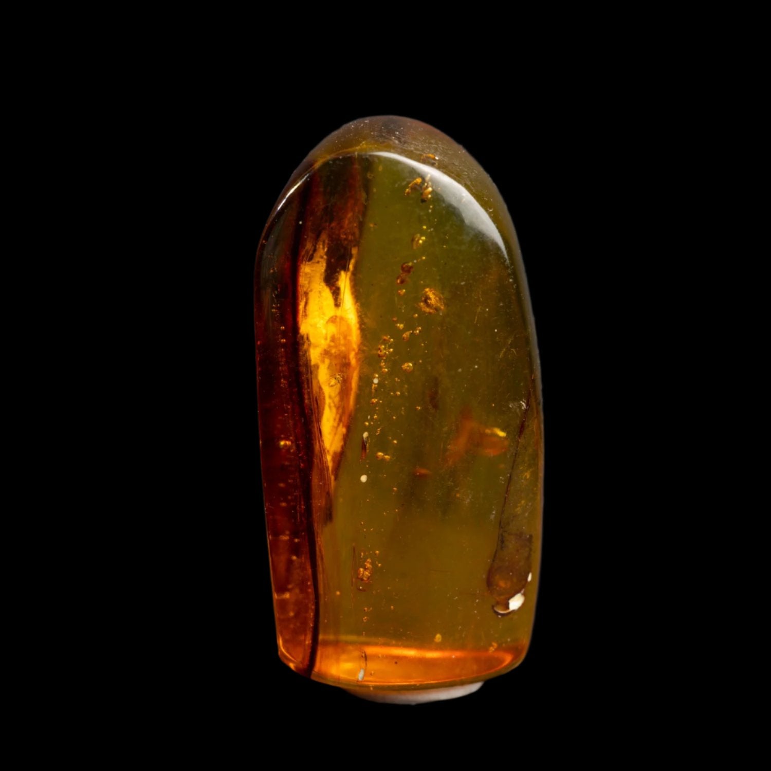 Ámbar - Fosilizado 46.5CT