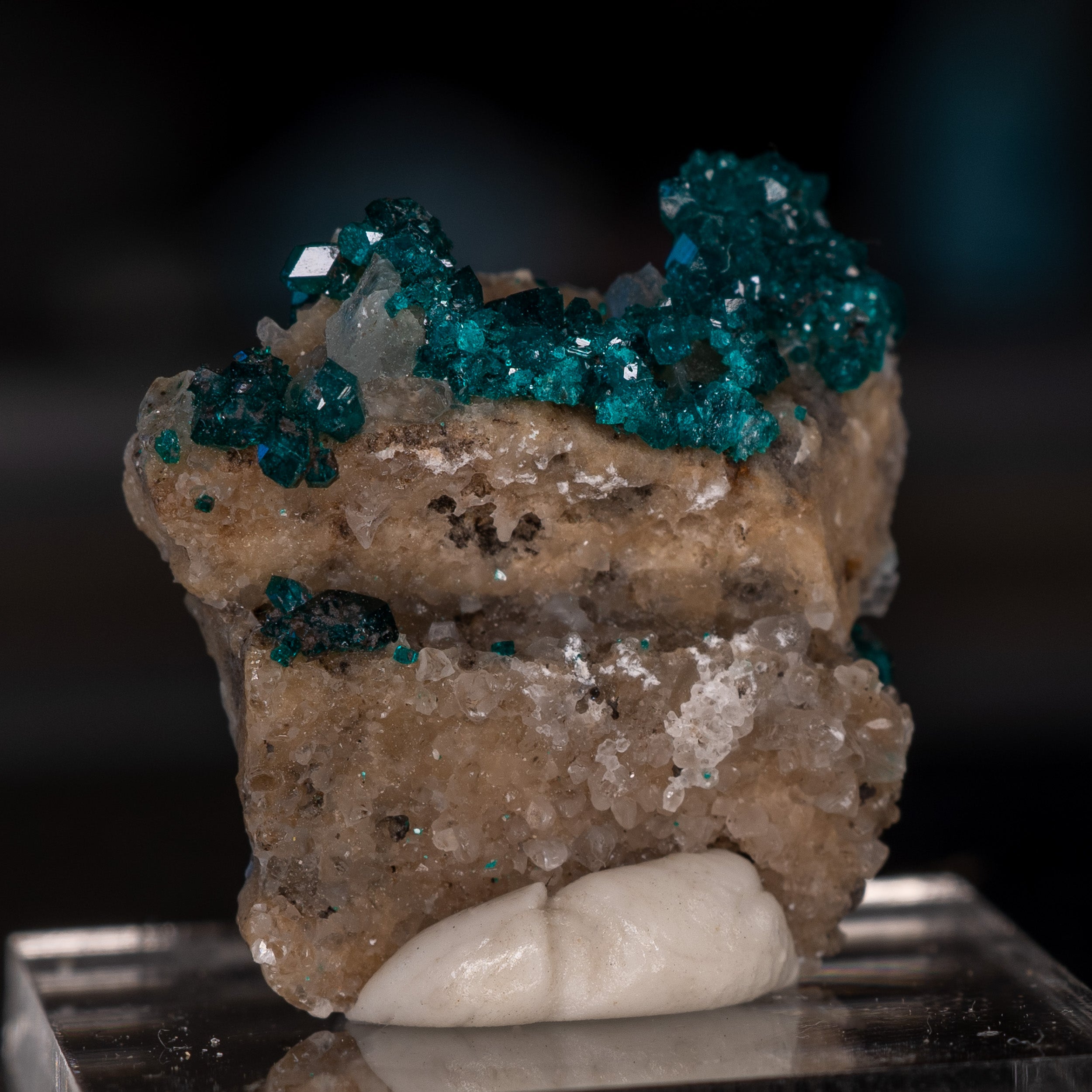 Dioptase Rep. Congo 16.68ct