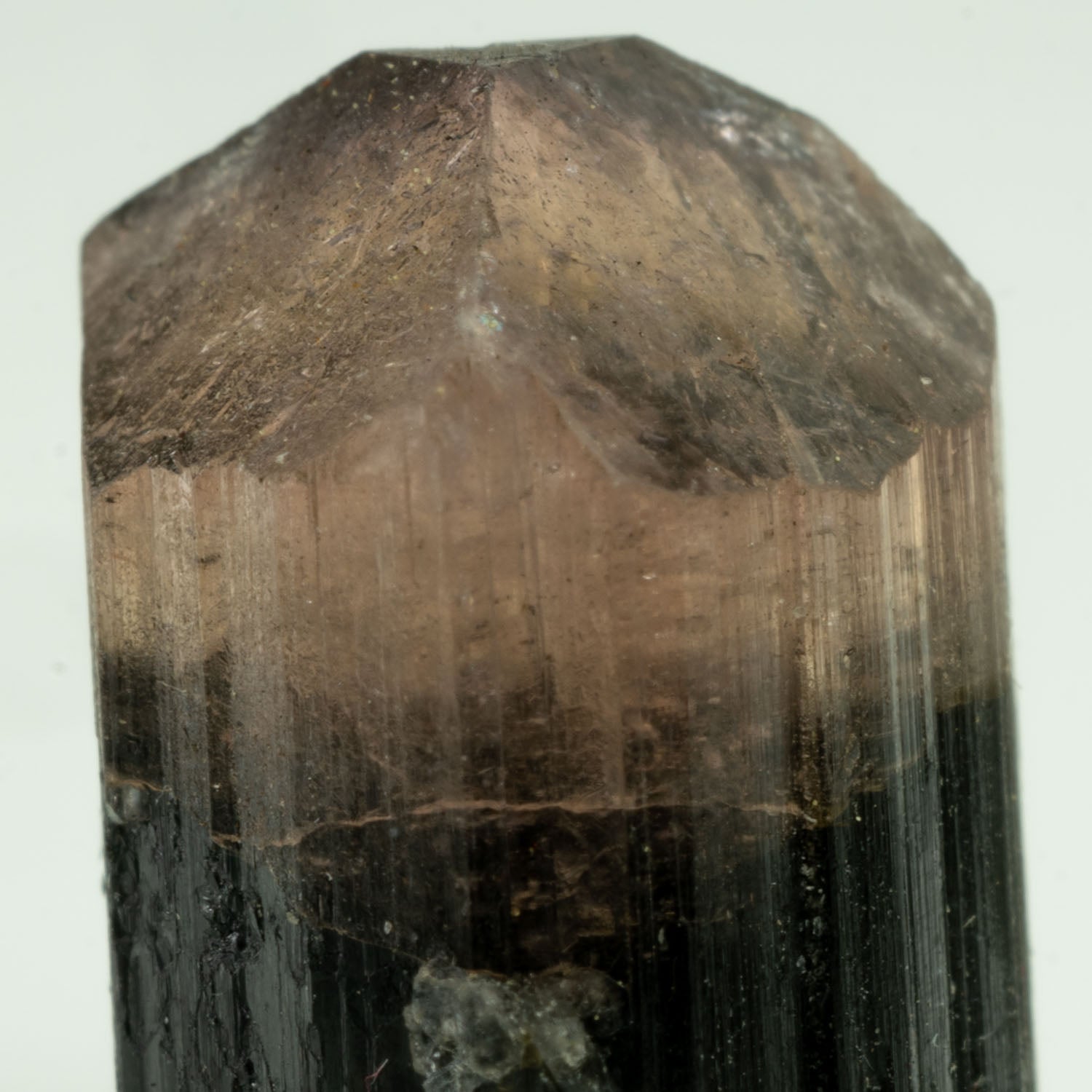 Tourmaline - Bicolor Orange Cap 22ct