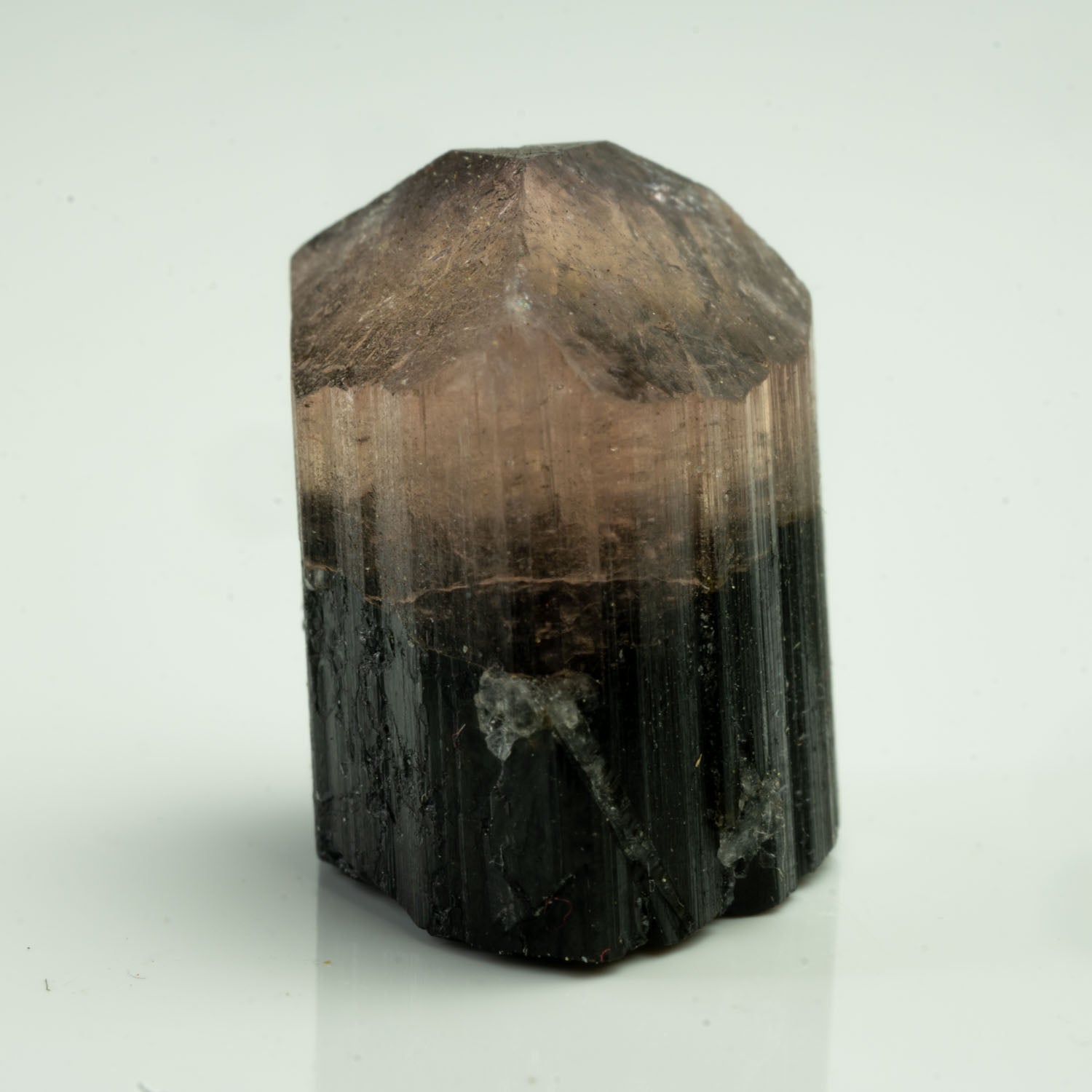 Tourmaline - Bicolor Orange Cap 22ct