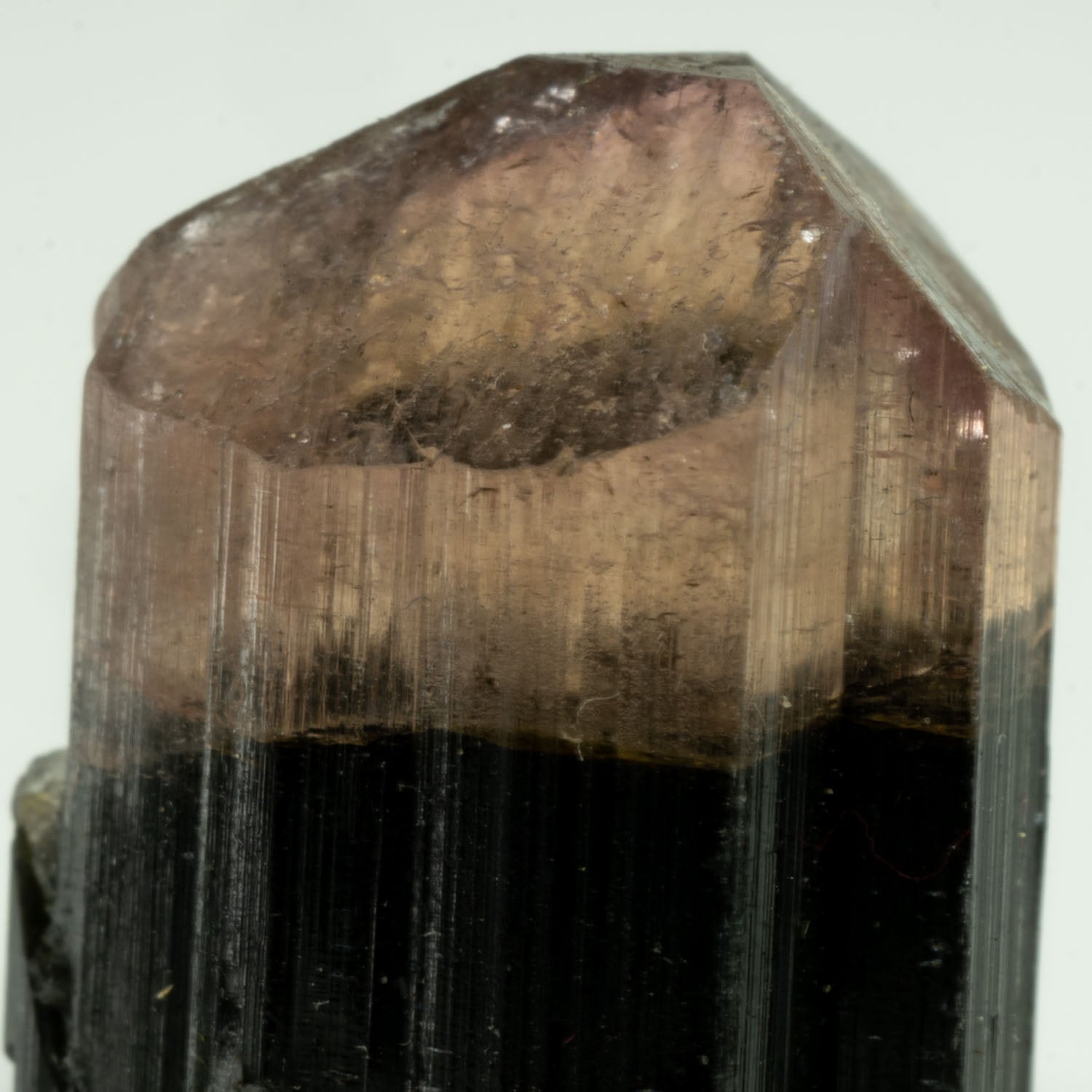 Tourmaline - Bicolor Orange Cap 22ct