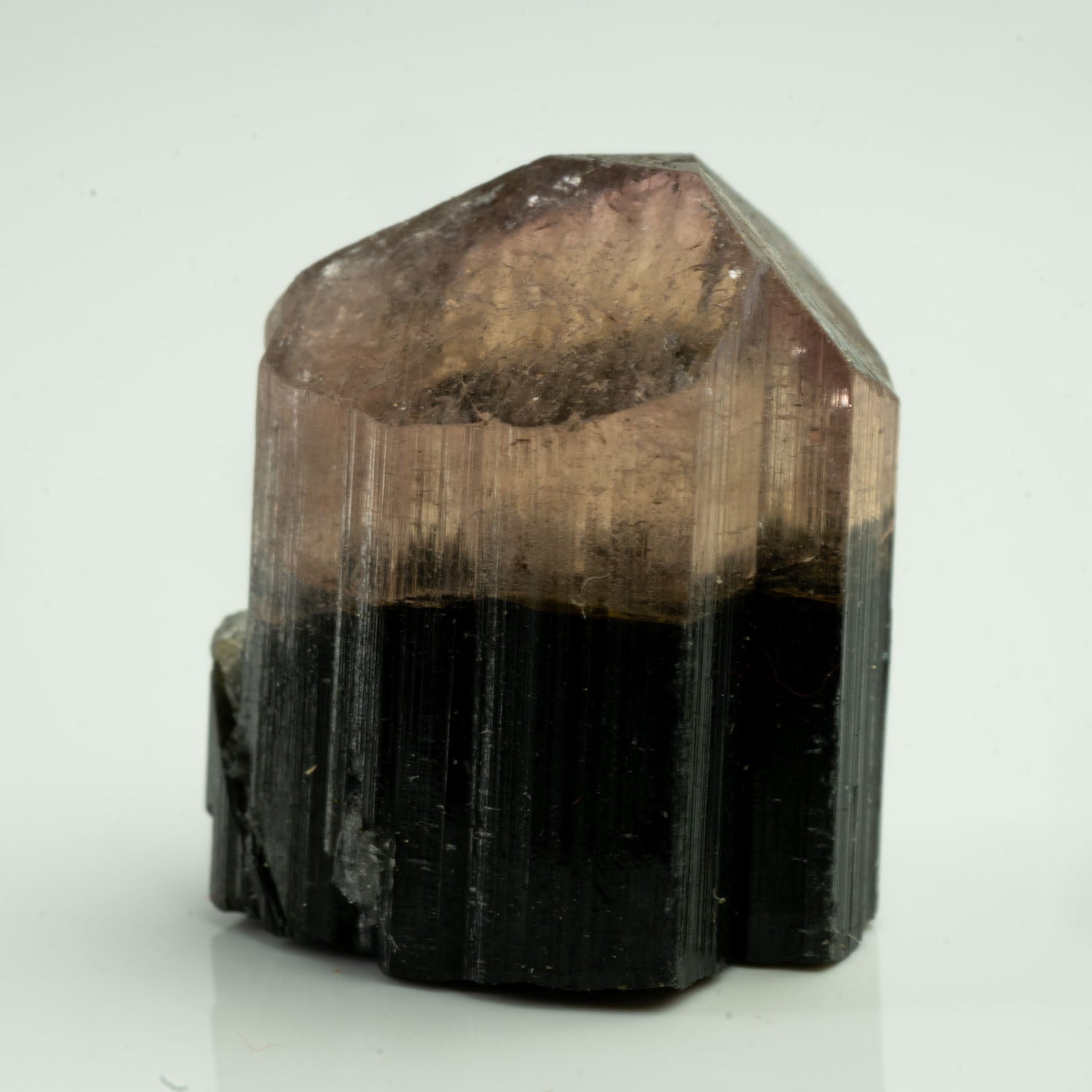 Tourmaline - Bicolor Orange Cap 22ct