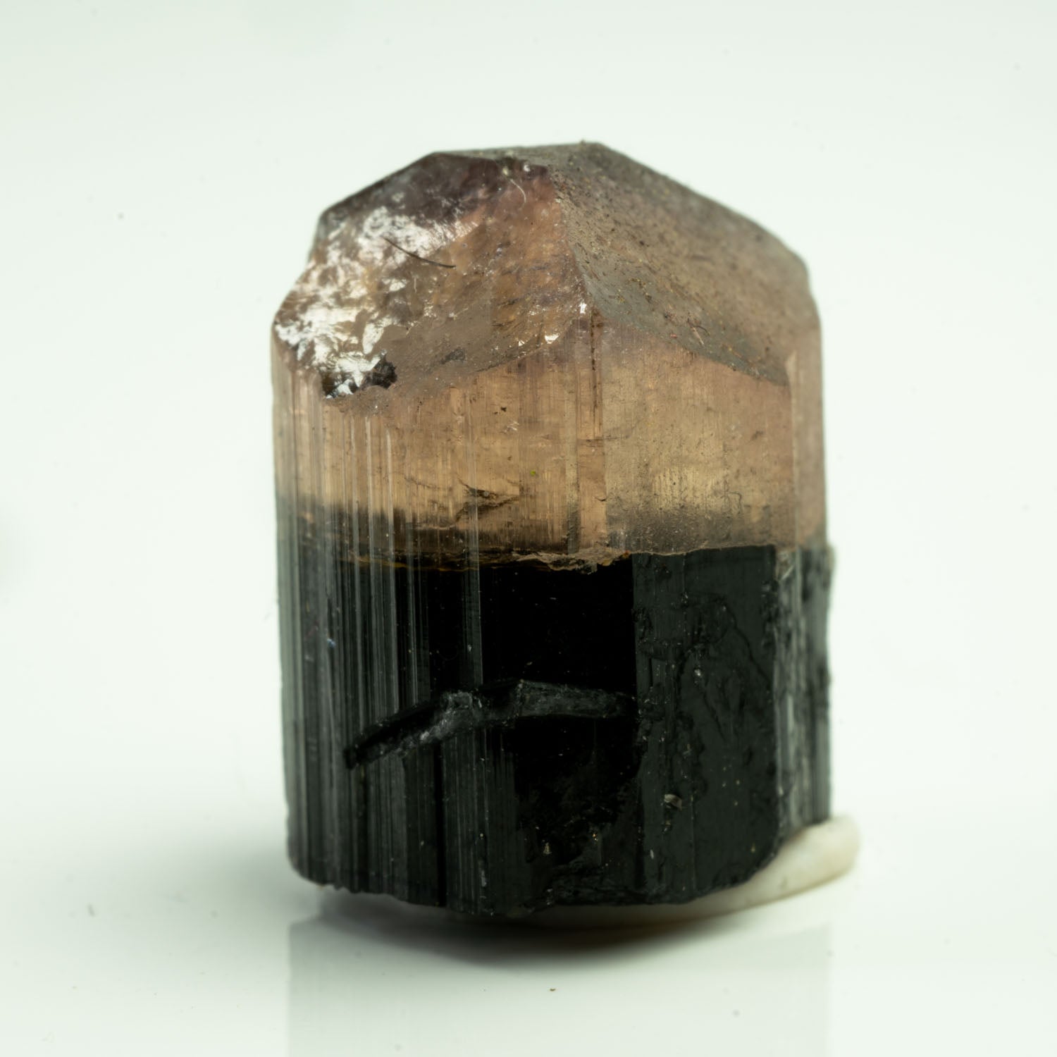 Tourmaline - Bicolor Orange Cap 22ct