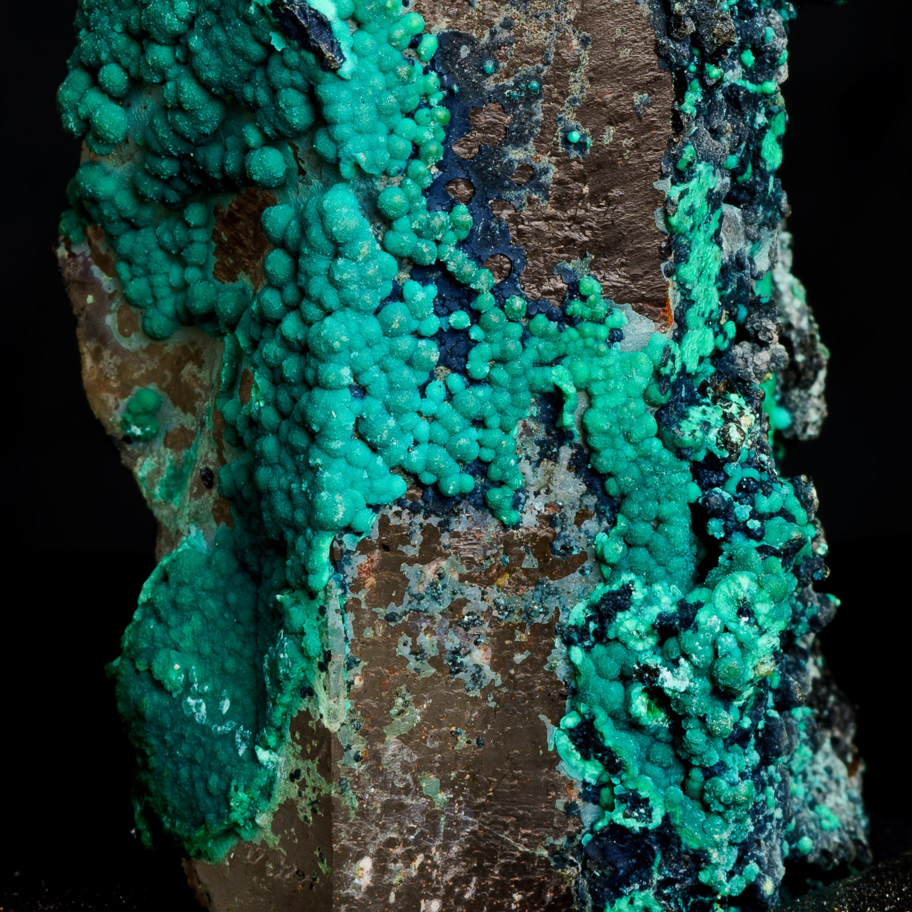 Tentadora - Crisocola Malaquita & Limonita sobre Cuarzo Ahumado 81g