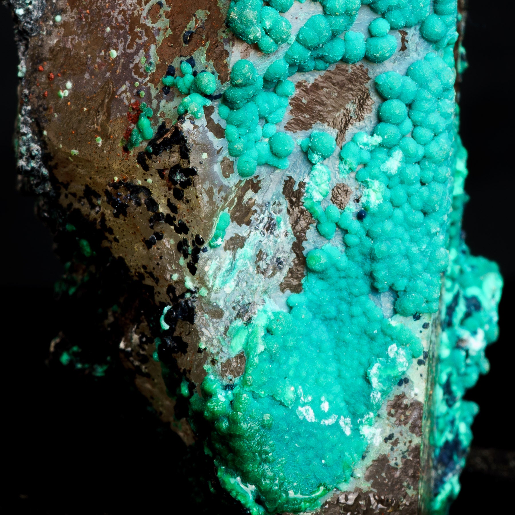 Tentadora - Crisocola Malaquita & Limonita sobre Cuarzo Ahumado 81g