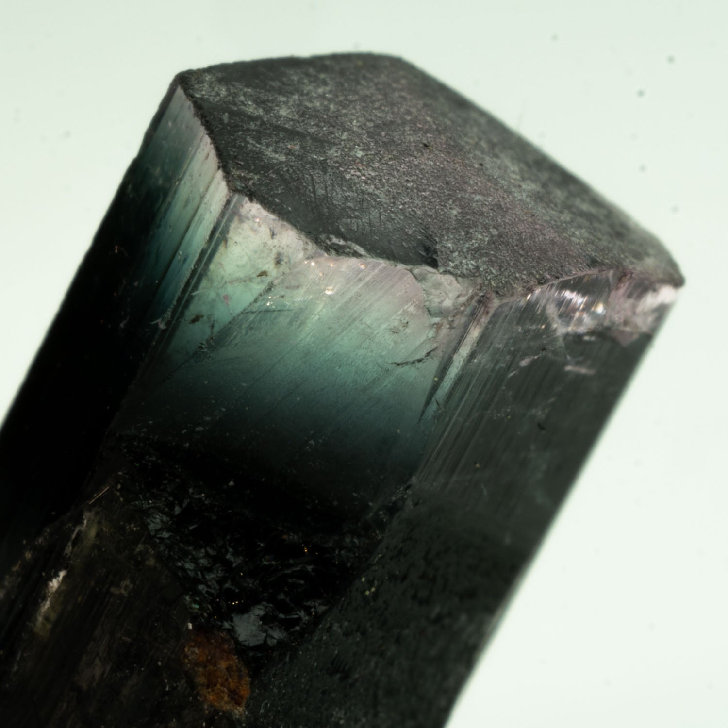 Tourmaline - Purple/Aqua/Black Tricolor Gem 7.45ct