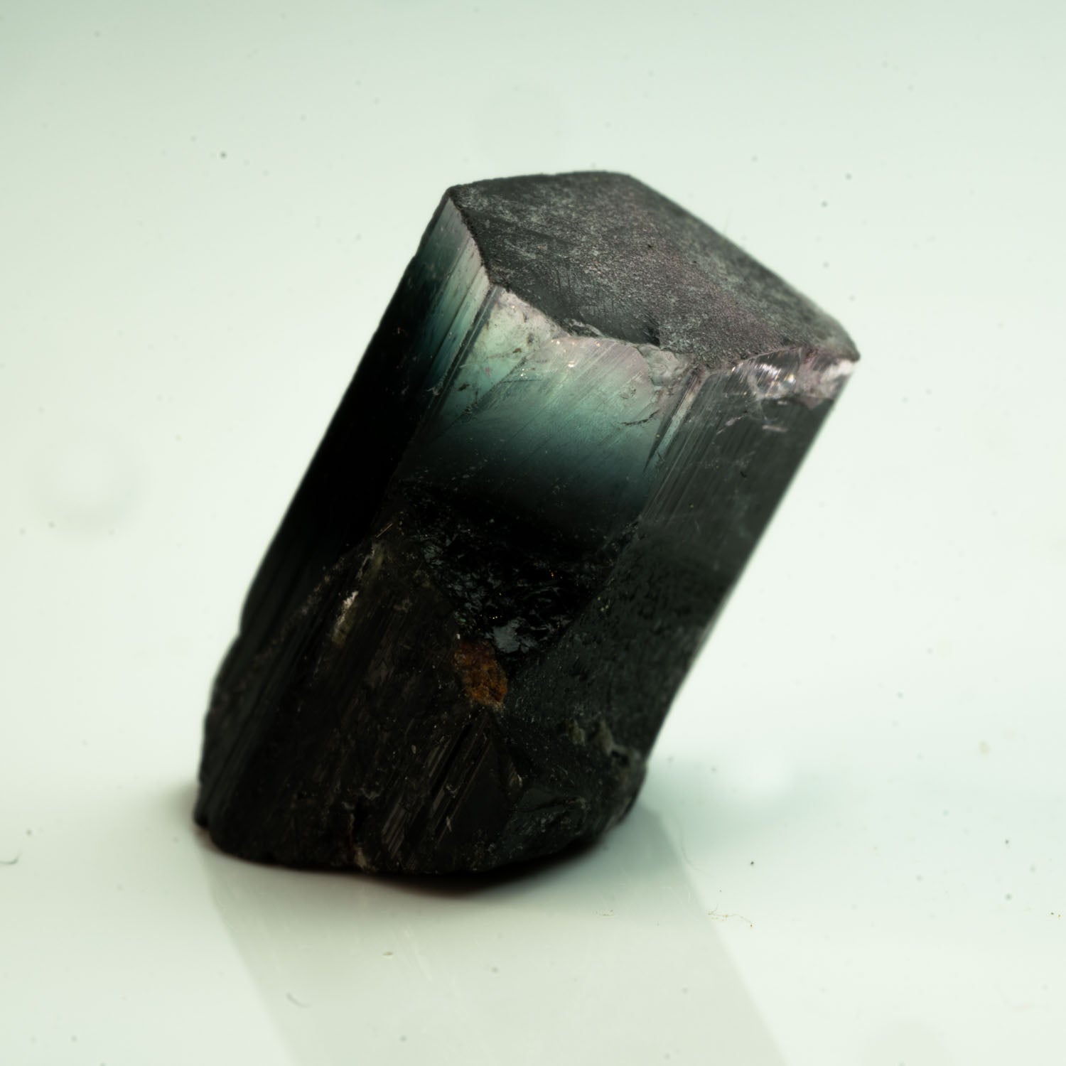 Tourmaline - Purple/Aqua/Black Tricolor Gem 7.45ct