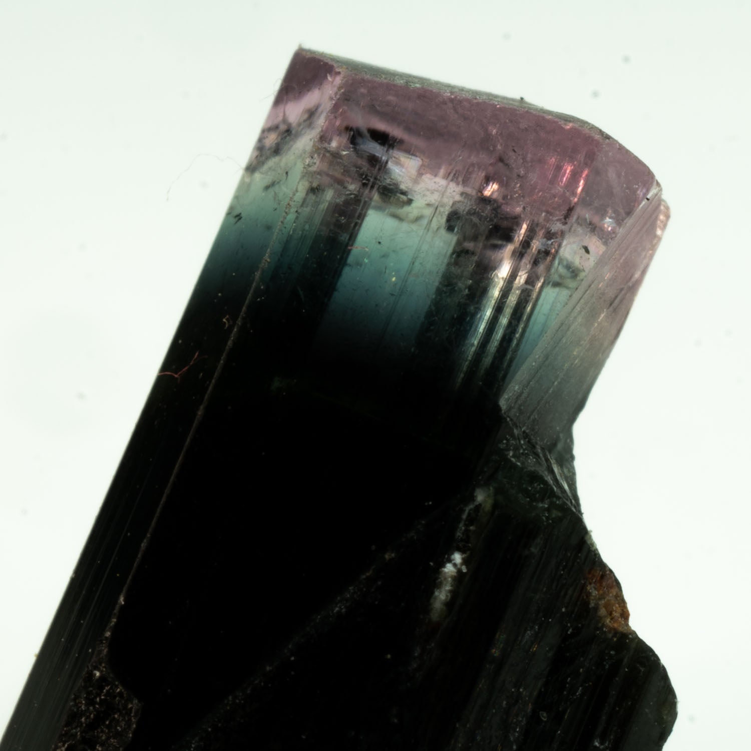 Tourmaline - Purple/Aqua/Black Tricolor Gem 7.45ct