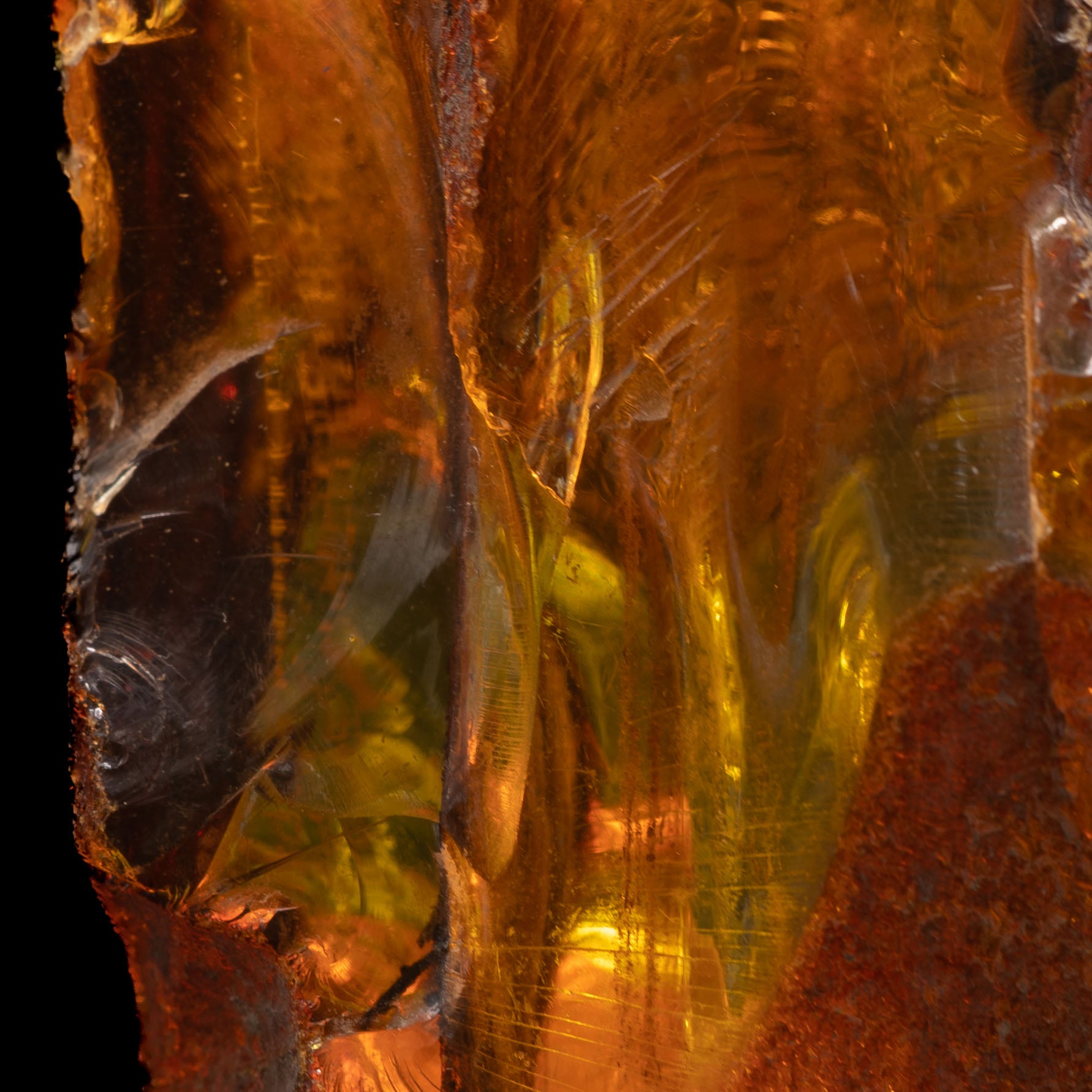 Dominican Amber Raw 49.3g