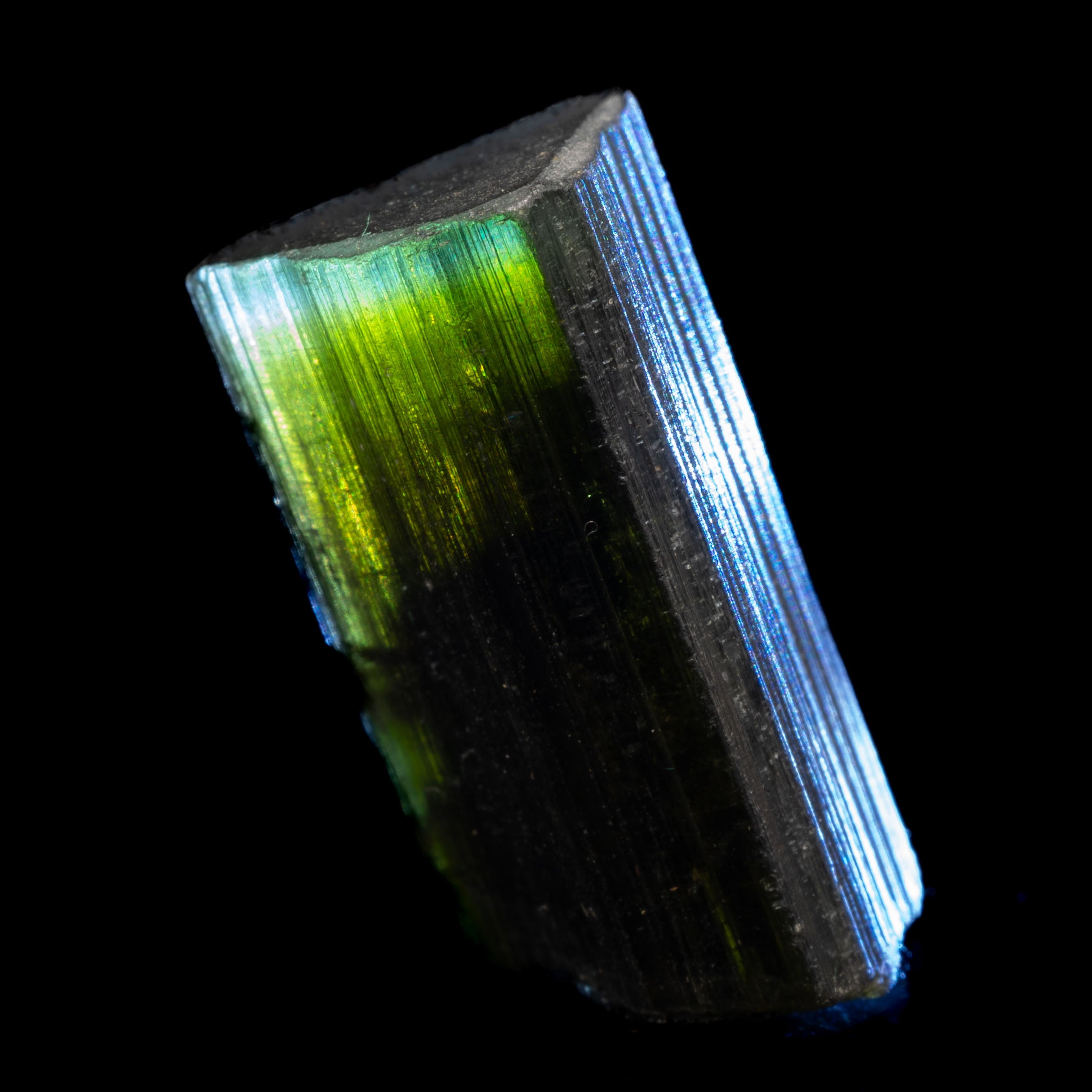 Aqua Blue Cap Tricolor Tourmaline 23.3ct