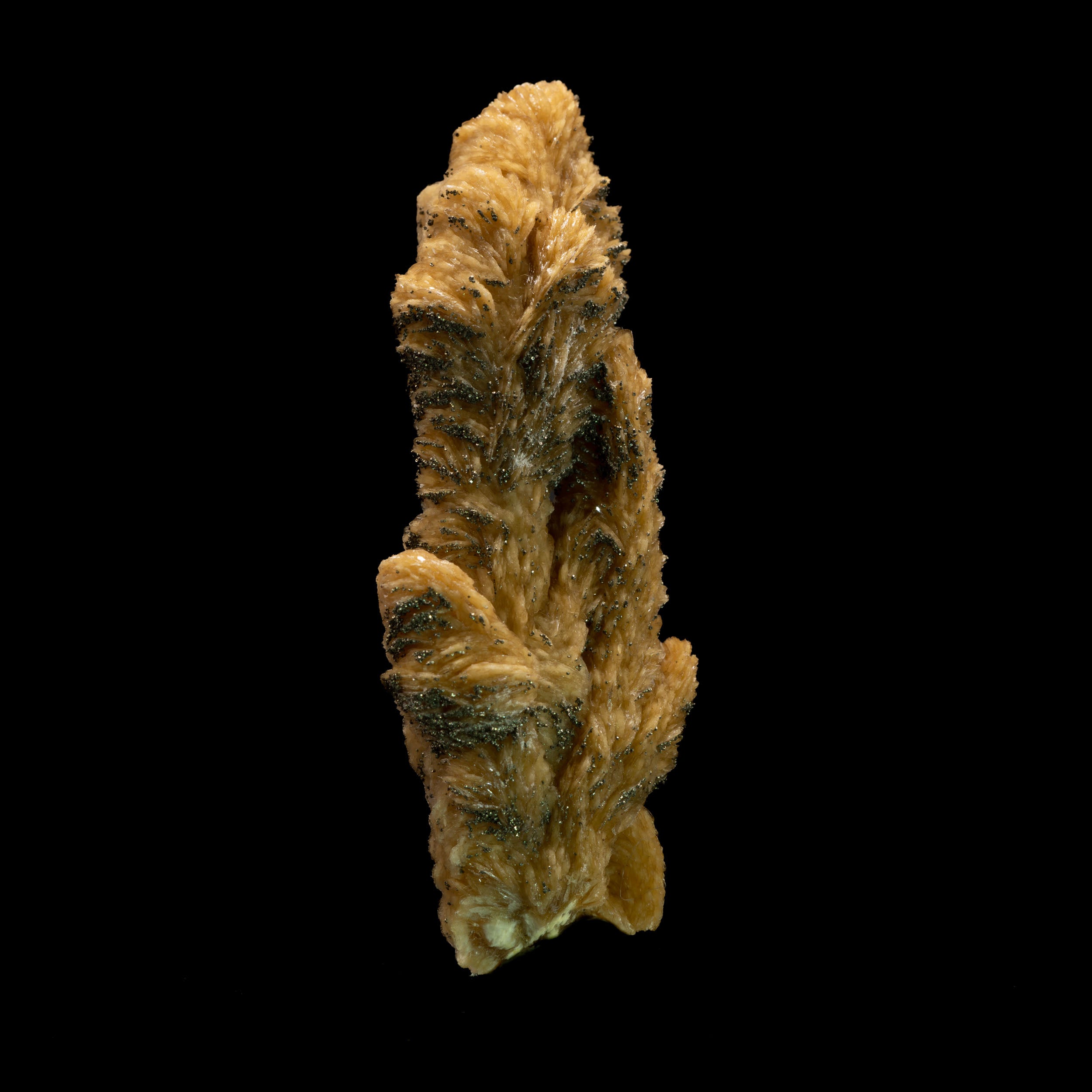 Barite with Druzy Pyrite - 23.5