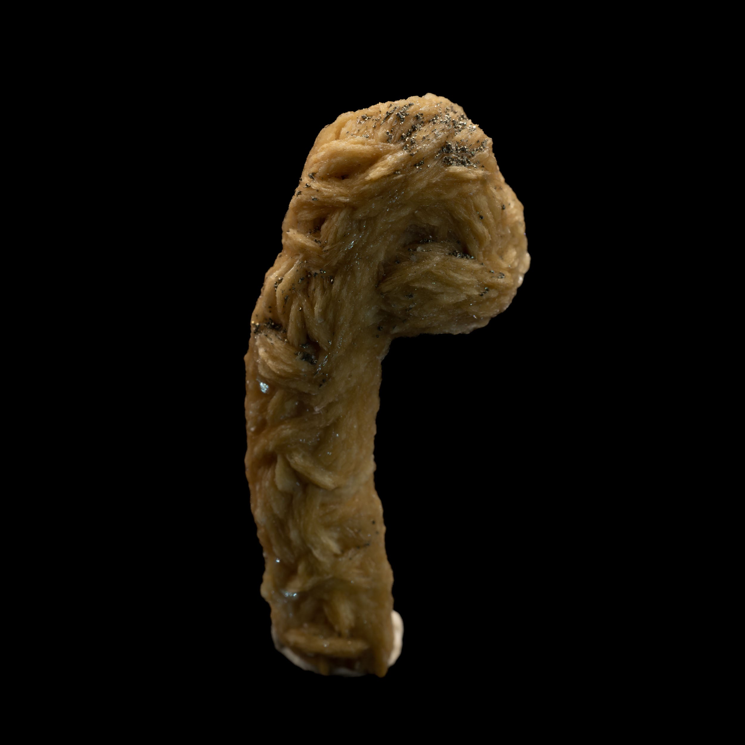 Barite with Druzy Pyrite - 9g