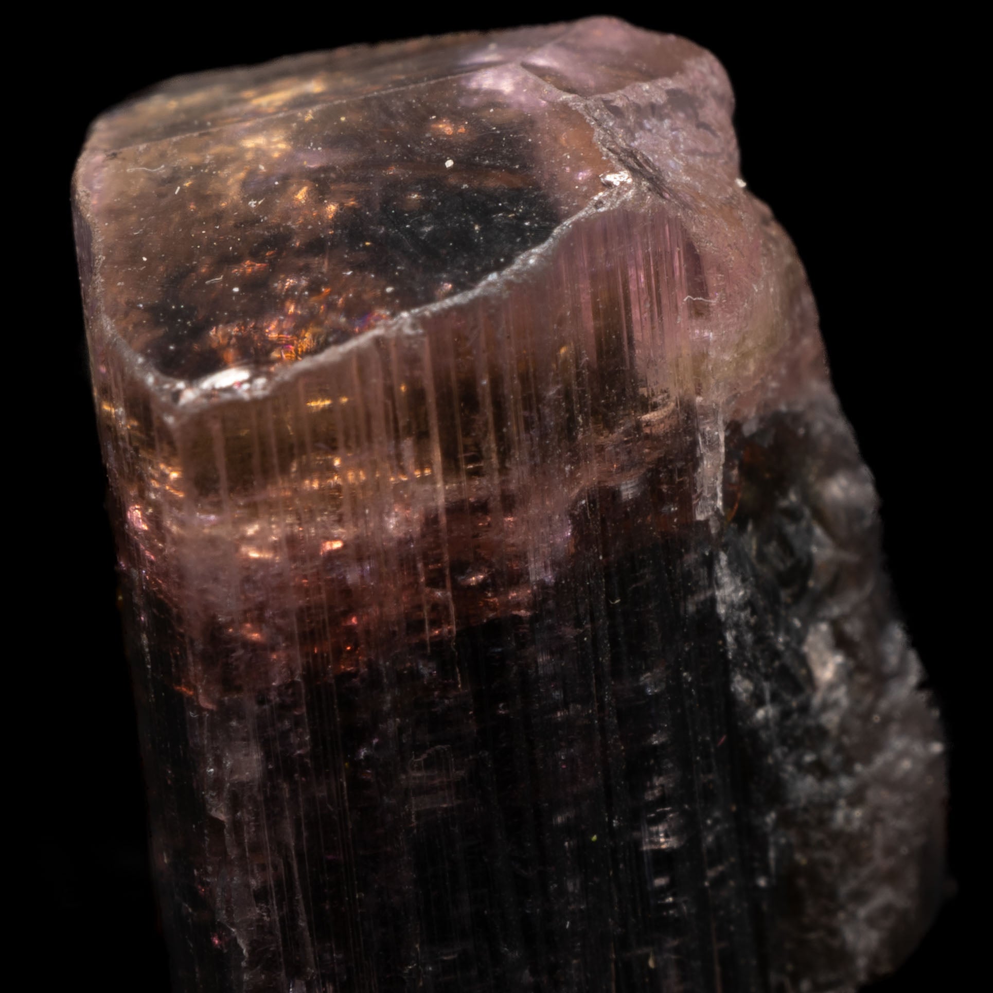 Pink Cap Multicolor Tourmaline 16.1ct