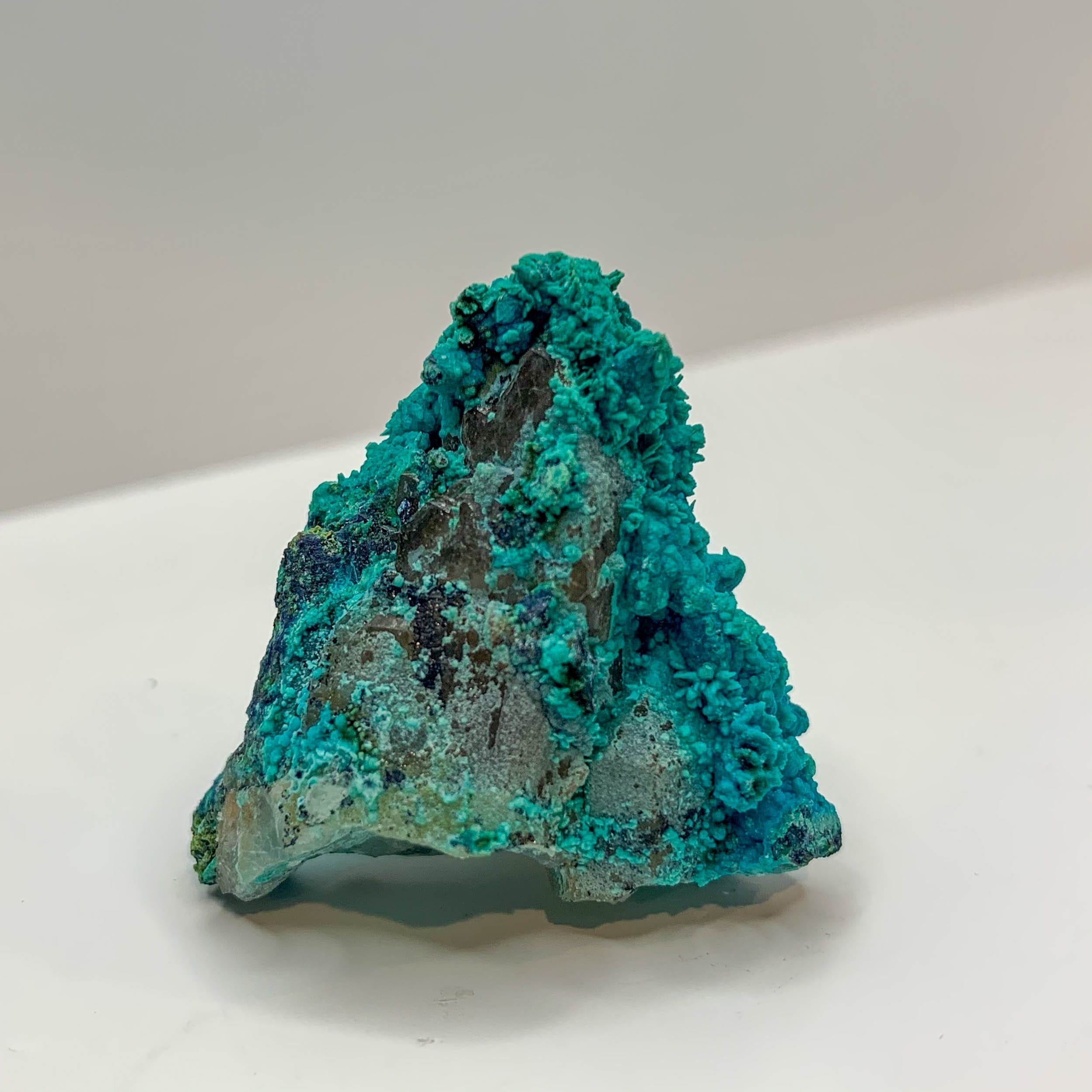 Tentadora 24g