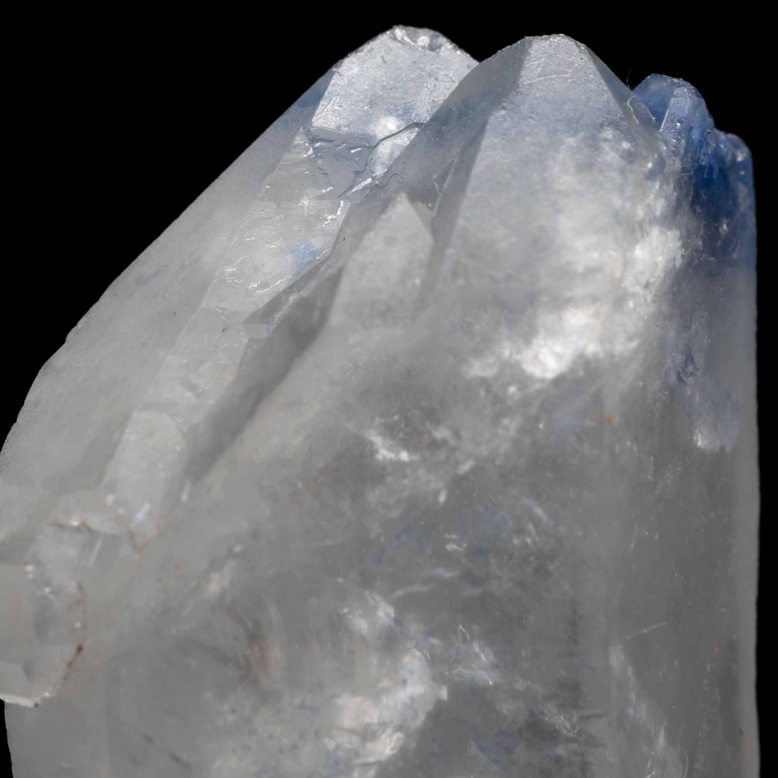 Understanding the Unique Color Variations of Dumortierite Included Quartz