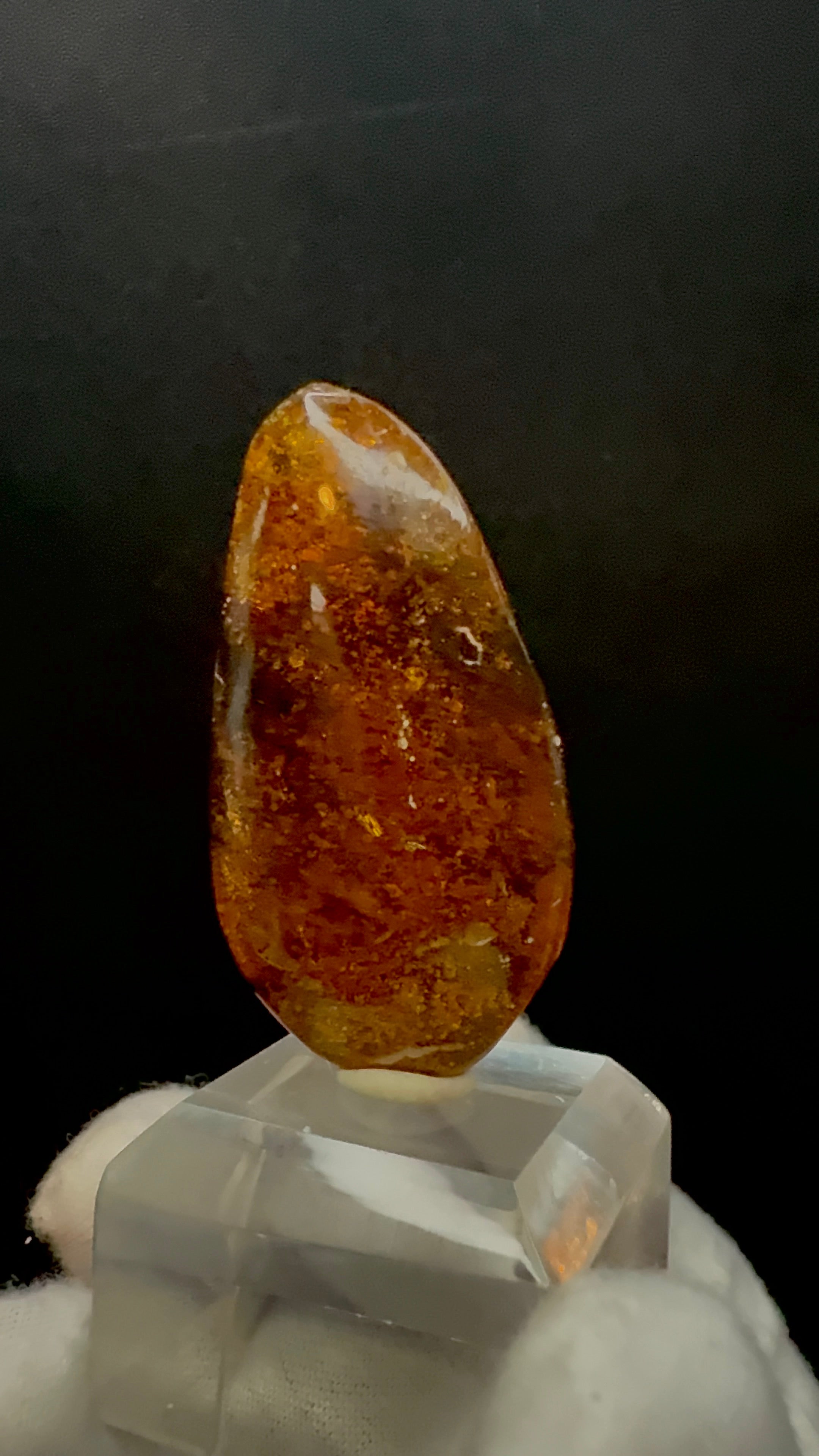 Dominican Amber 5 g