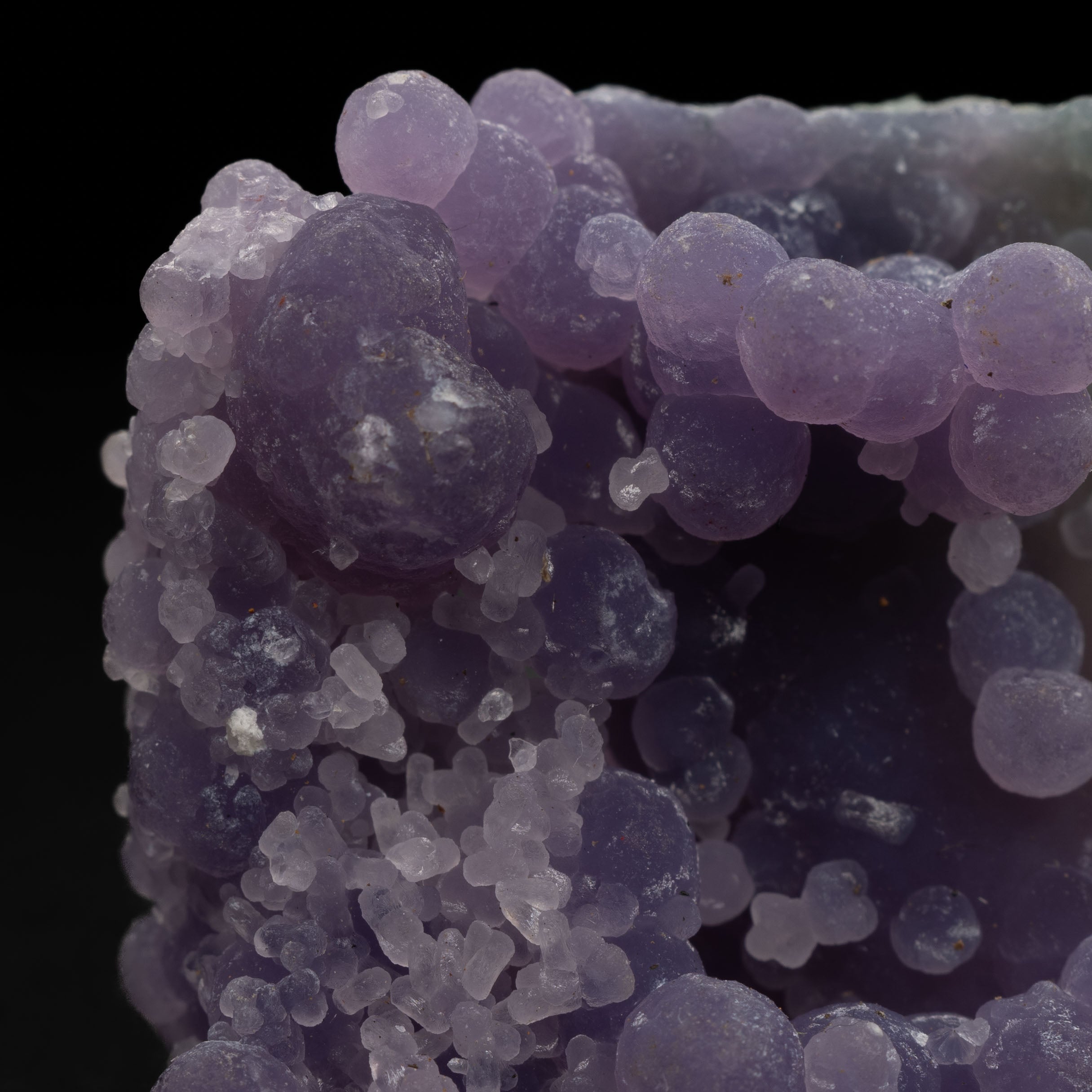 Grape Agate Botryoidal Chalcedony – Natural Purple Gem Specimen 51.4ct