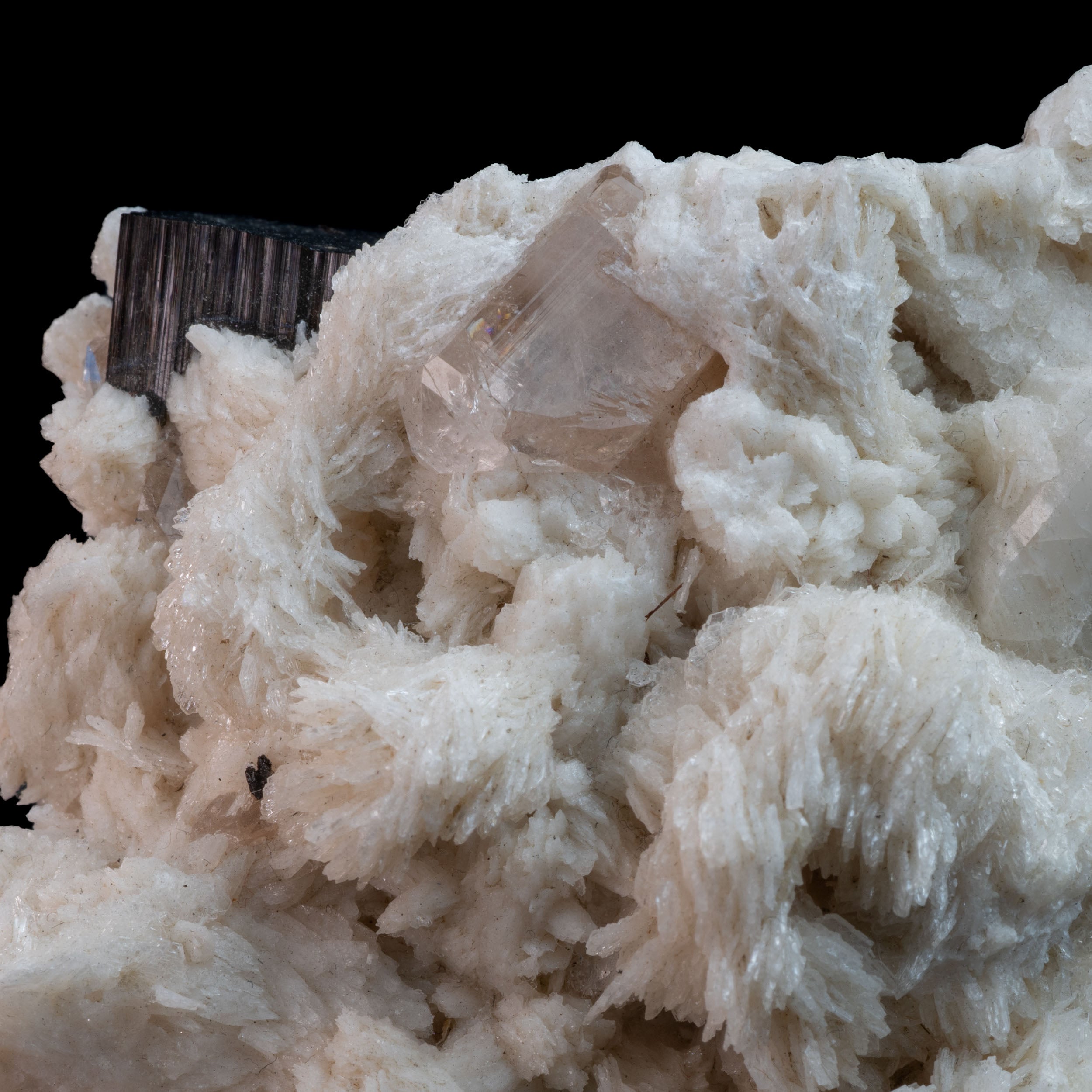 Sherry Topaz on Albite and Schorl Tourmaline - 164.16G