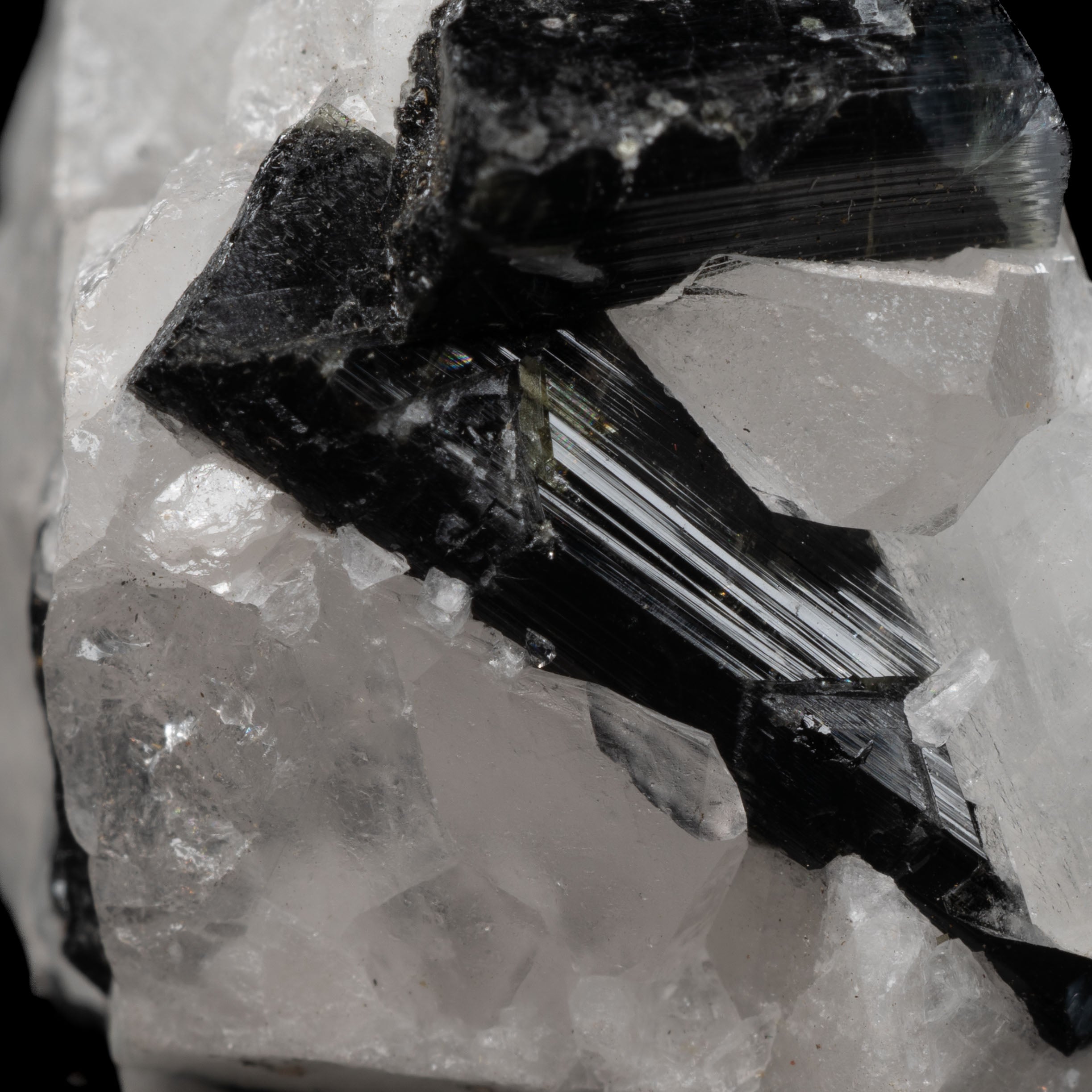 Tourmaline Quartz Specimen 36g