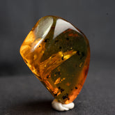 Mexican Amber 8.66g