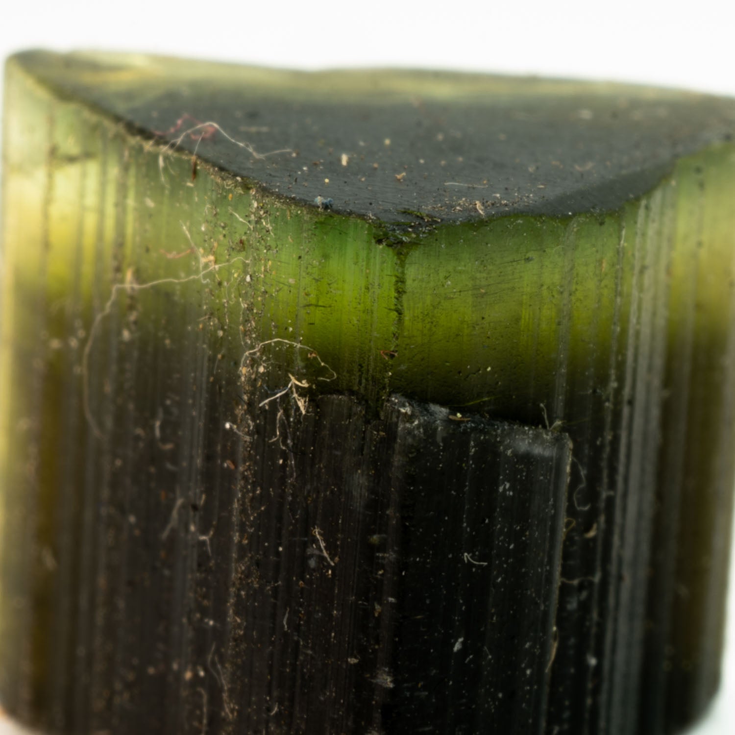 Turmalina - Bicolor Green-cap 12.8ct
