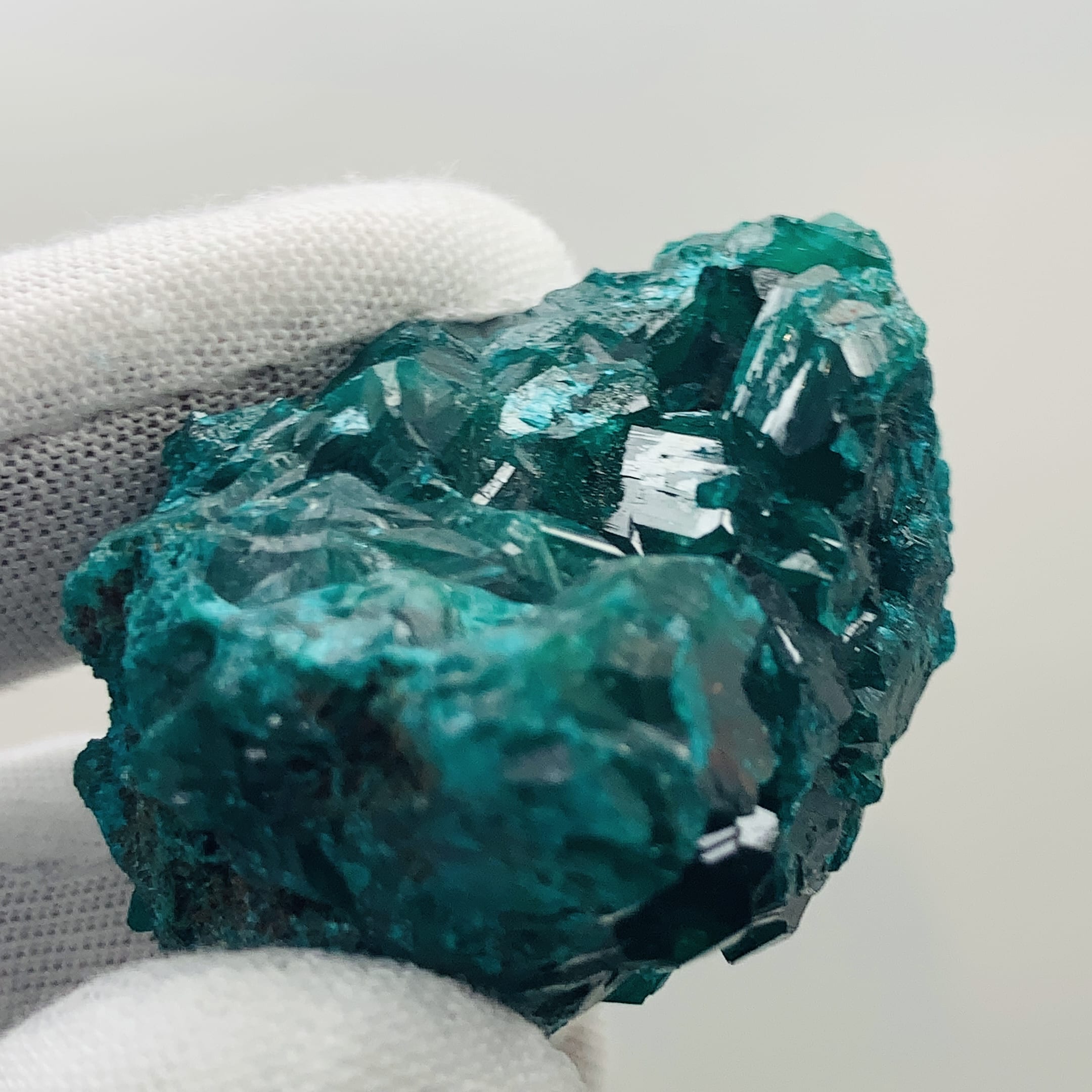 Dioptase specimen - pure