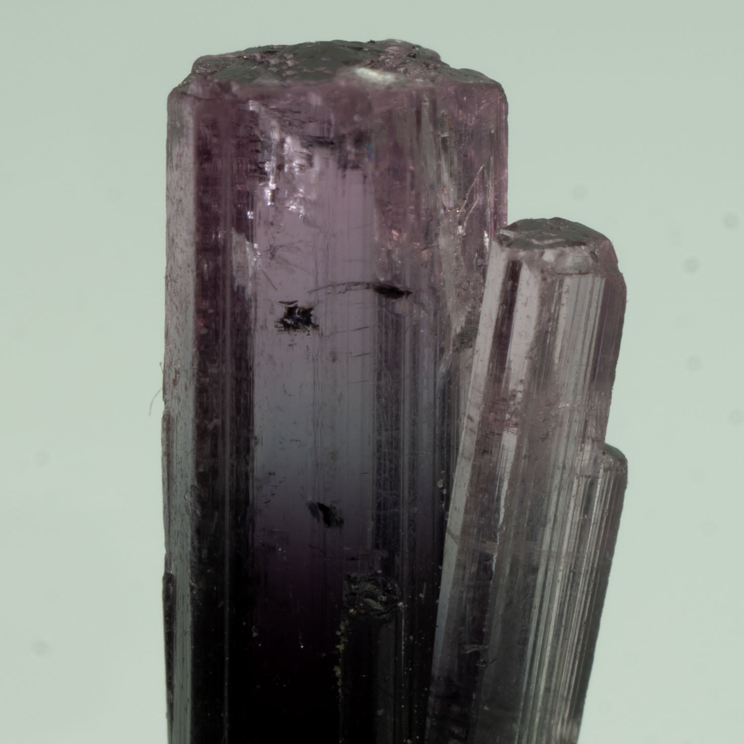 Tourmaline - Purple Bicolor 2.5ct