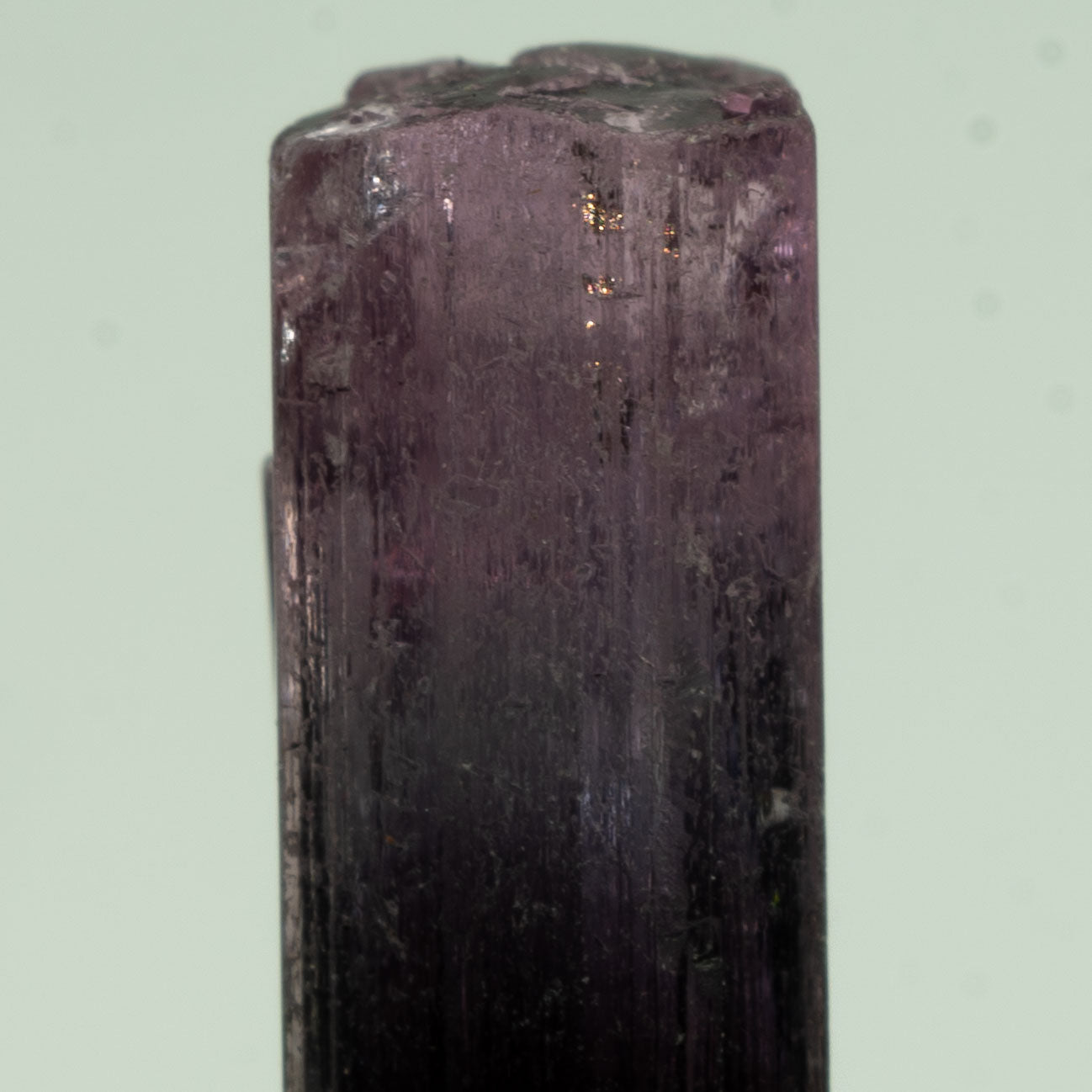 Tourmaline - Purple Bicolor 2.5ct