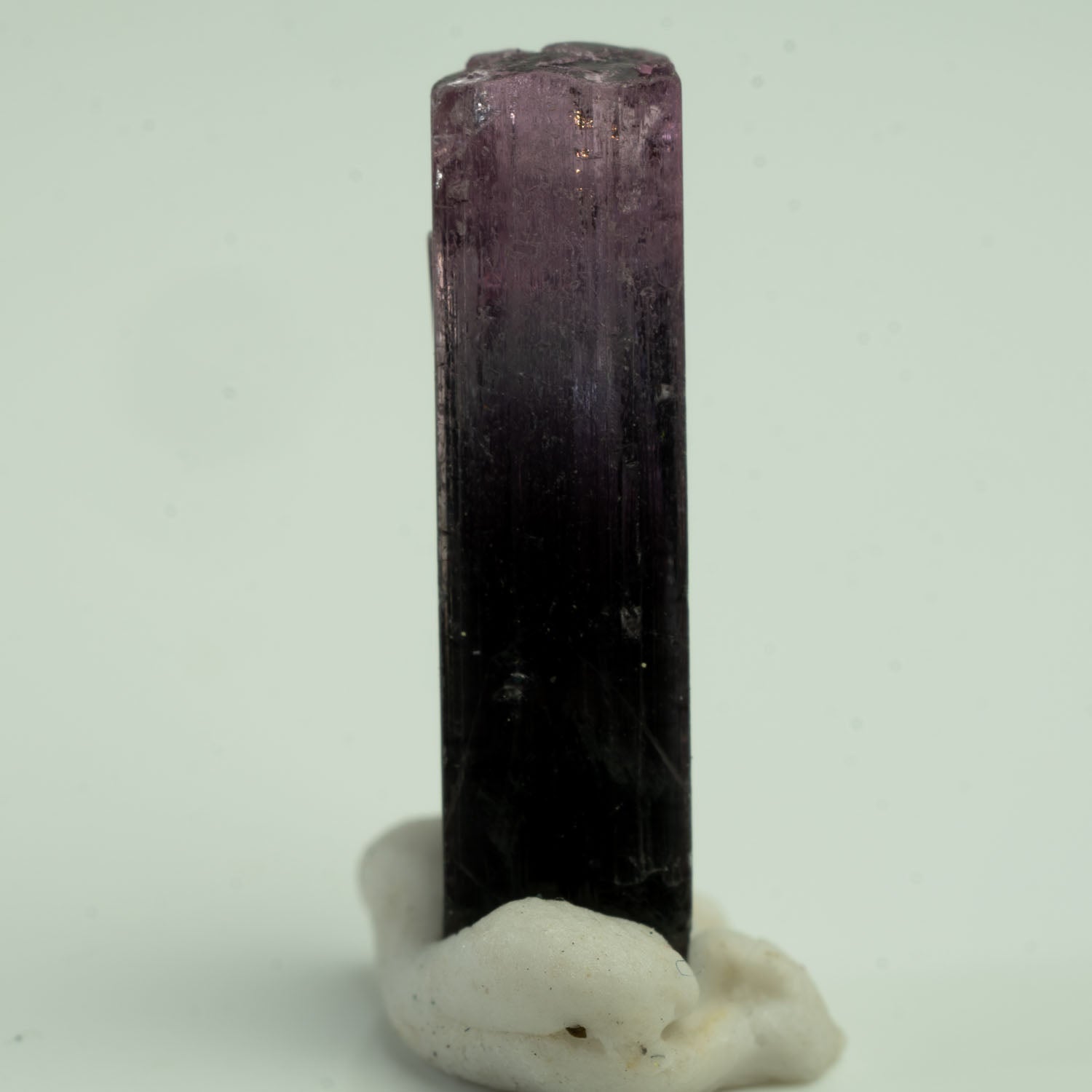 Tourmaline - Purple Bicolor 2.5ct