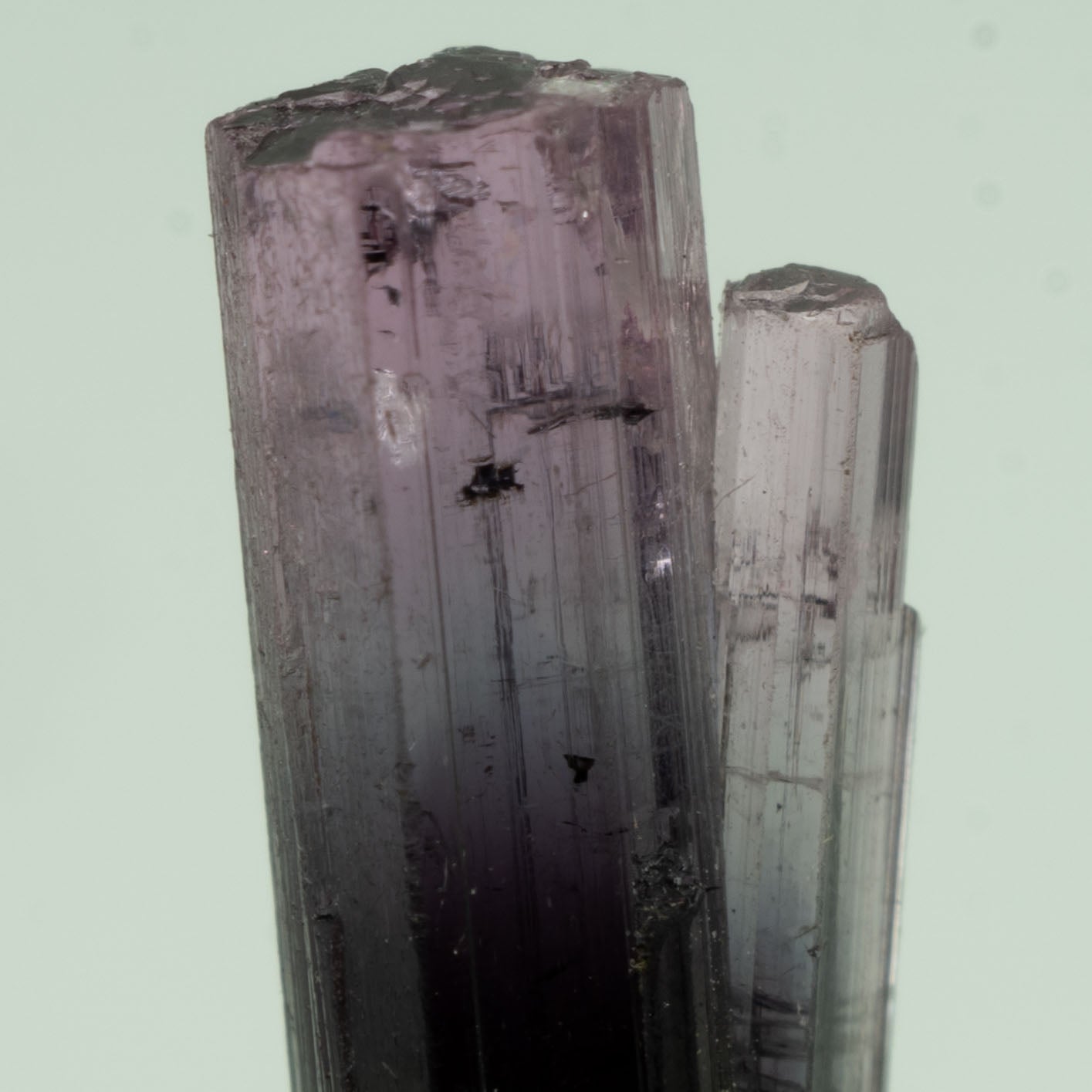 Tourmaline - Purple Bicolor 2.5ct