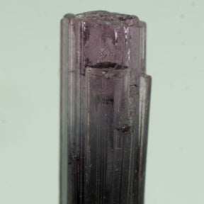 Tourmaline - Purple Bicolor 2.5ct