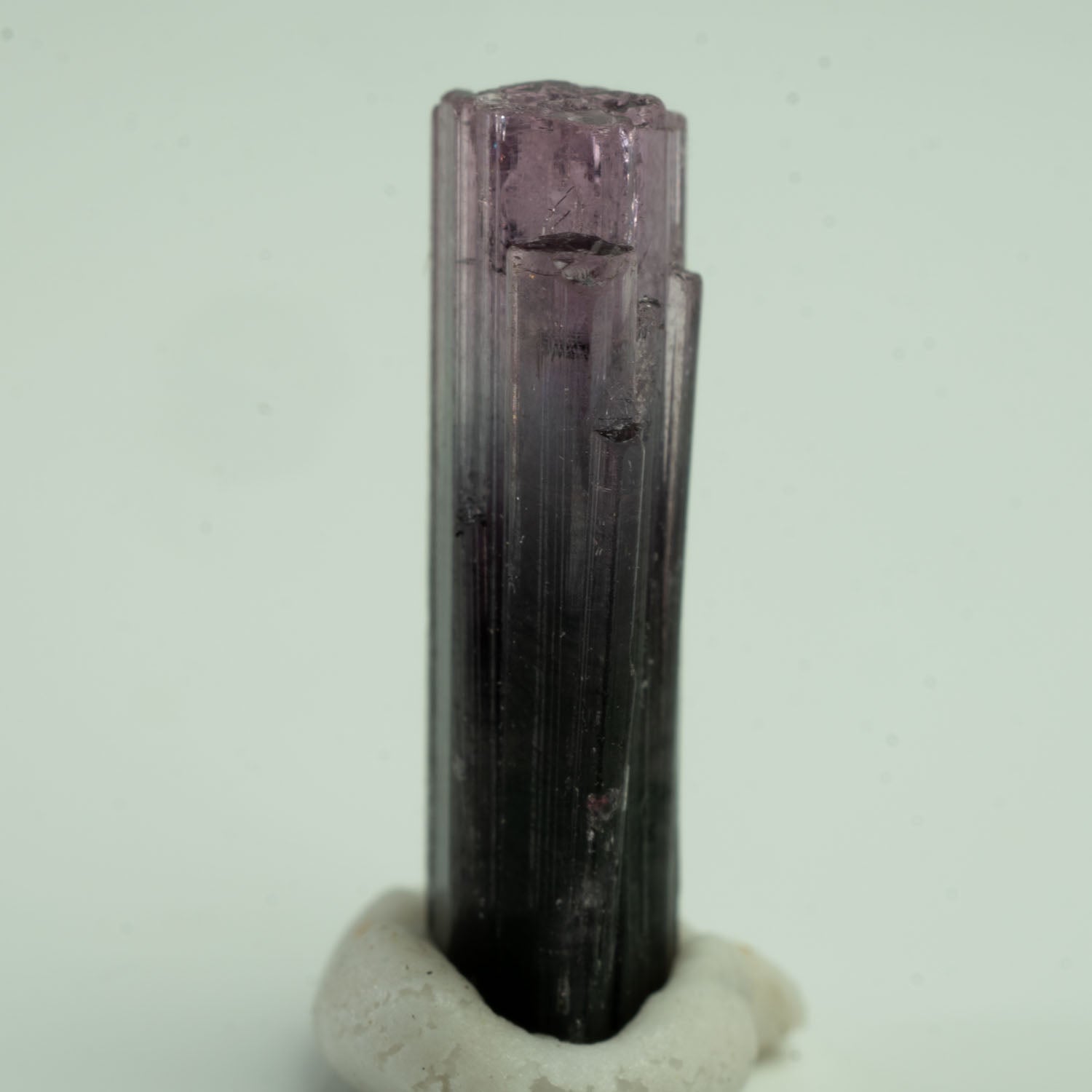 Tourmaline - Purple Bicolor 2.5ct