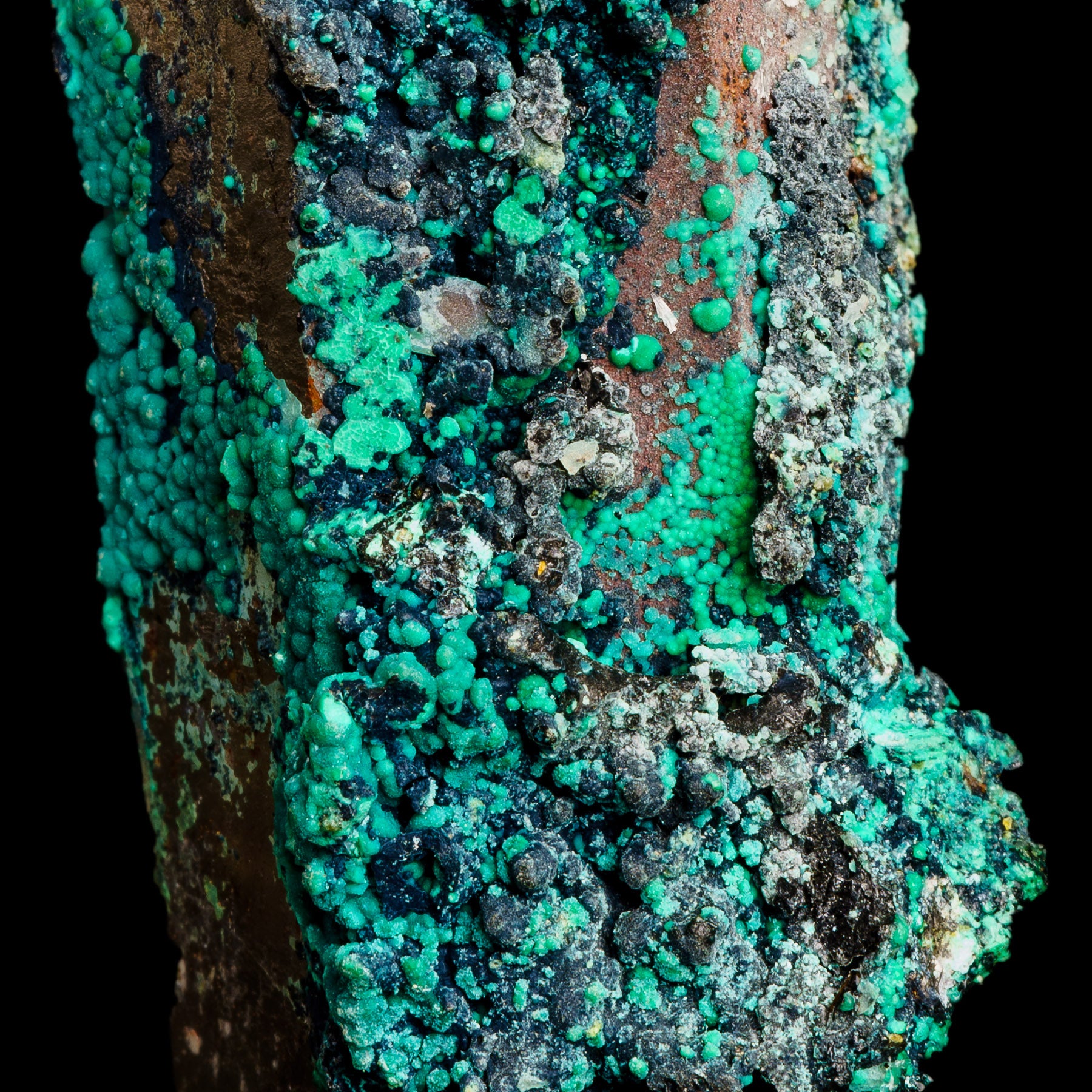 Chrysocolla, Malachite, and Limonite on Smoky Quartz - Tentadora