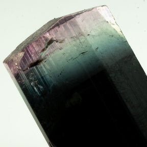 Turmalina - Púrpura/Agua/Negro Tricolor Gema 14.5ct