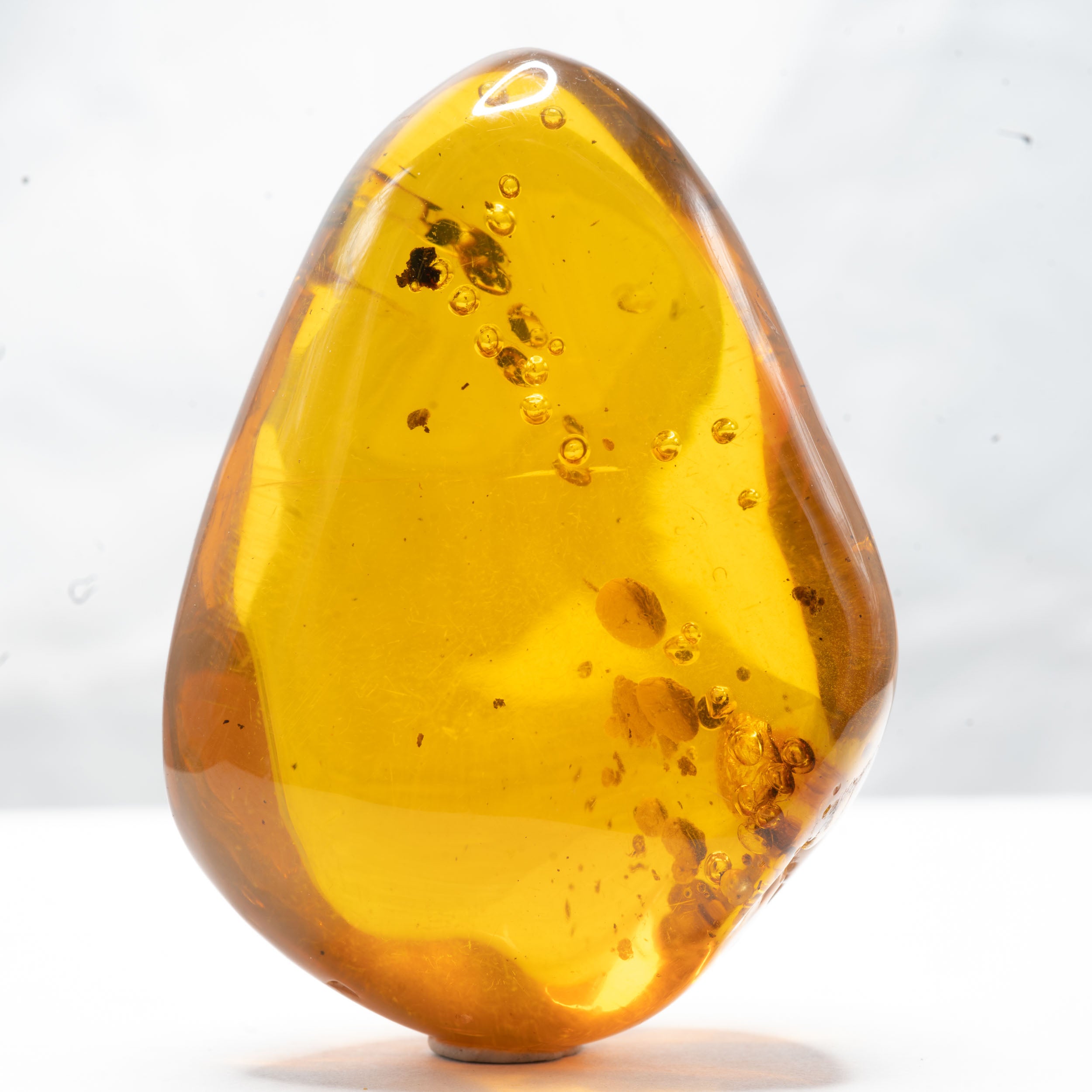 Dominican Amber With Inclusions 25g