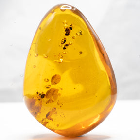 Dominican Amber With Inclusions 25g