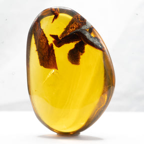 Dominican Amber With Inclusions 40g