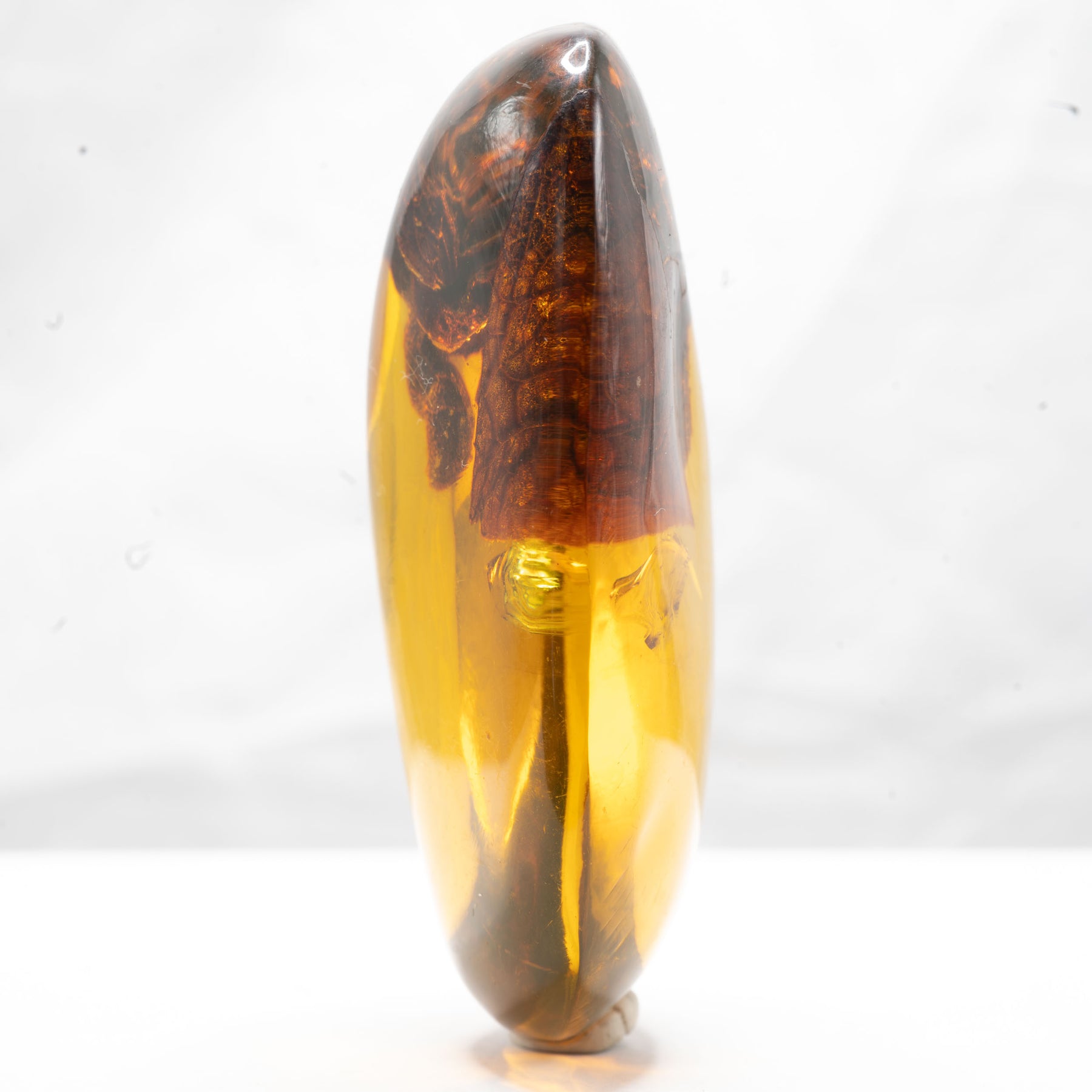 Dominican Amber With Inclusions 40g